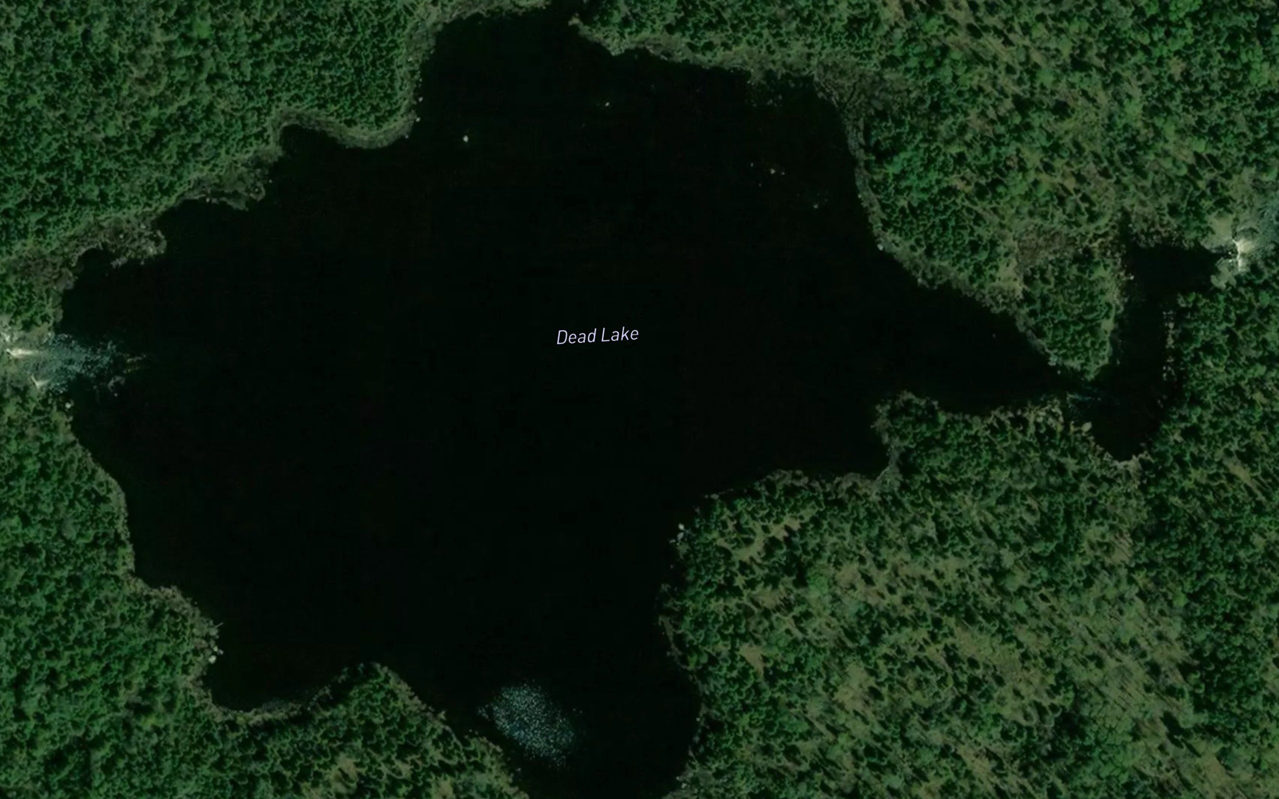 Dead Lake