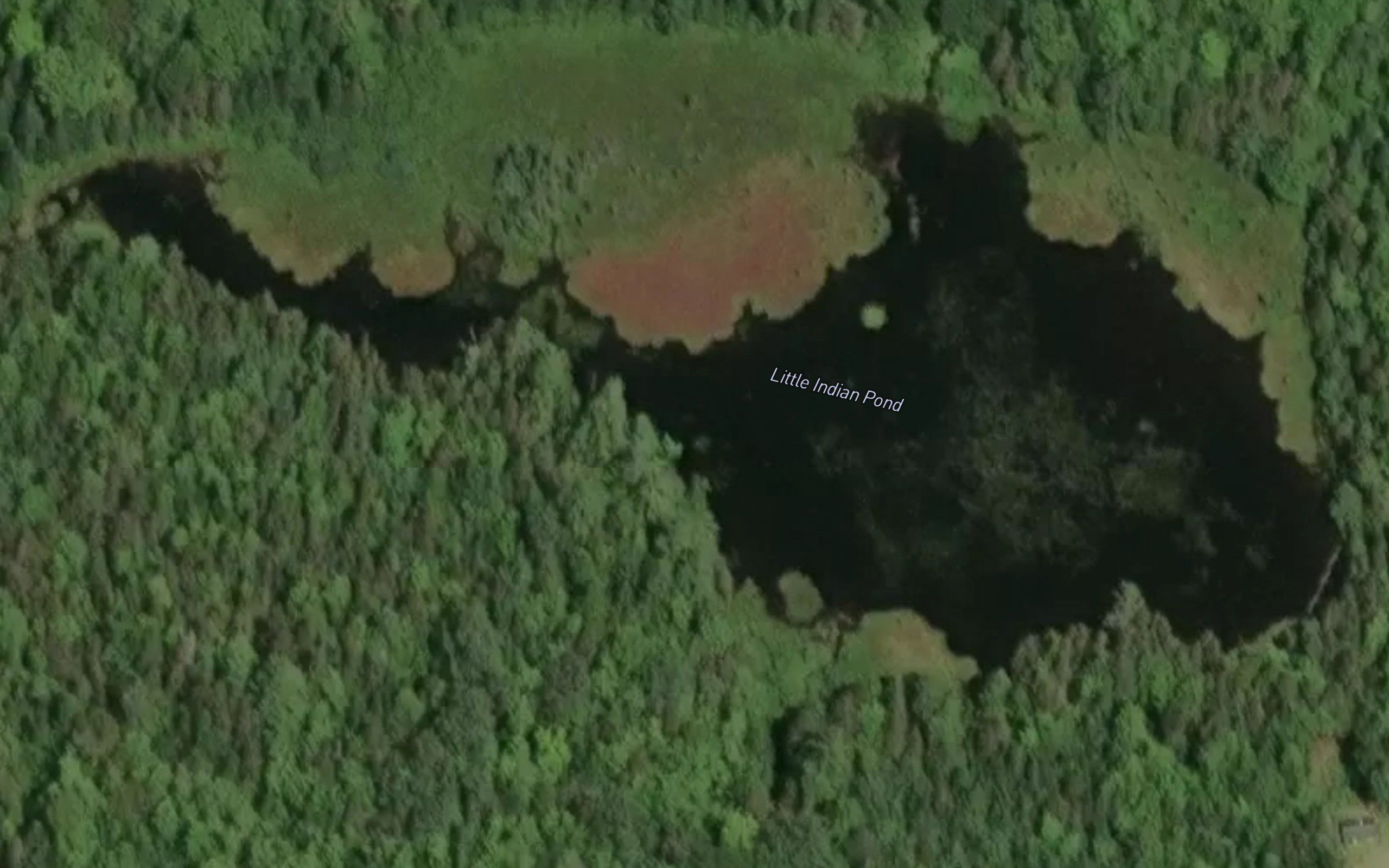 Little Indian Pond