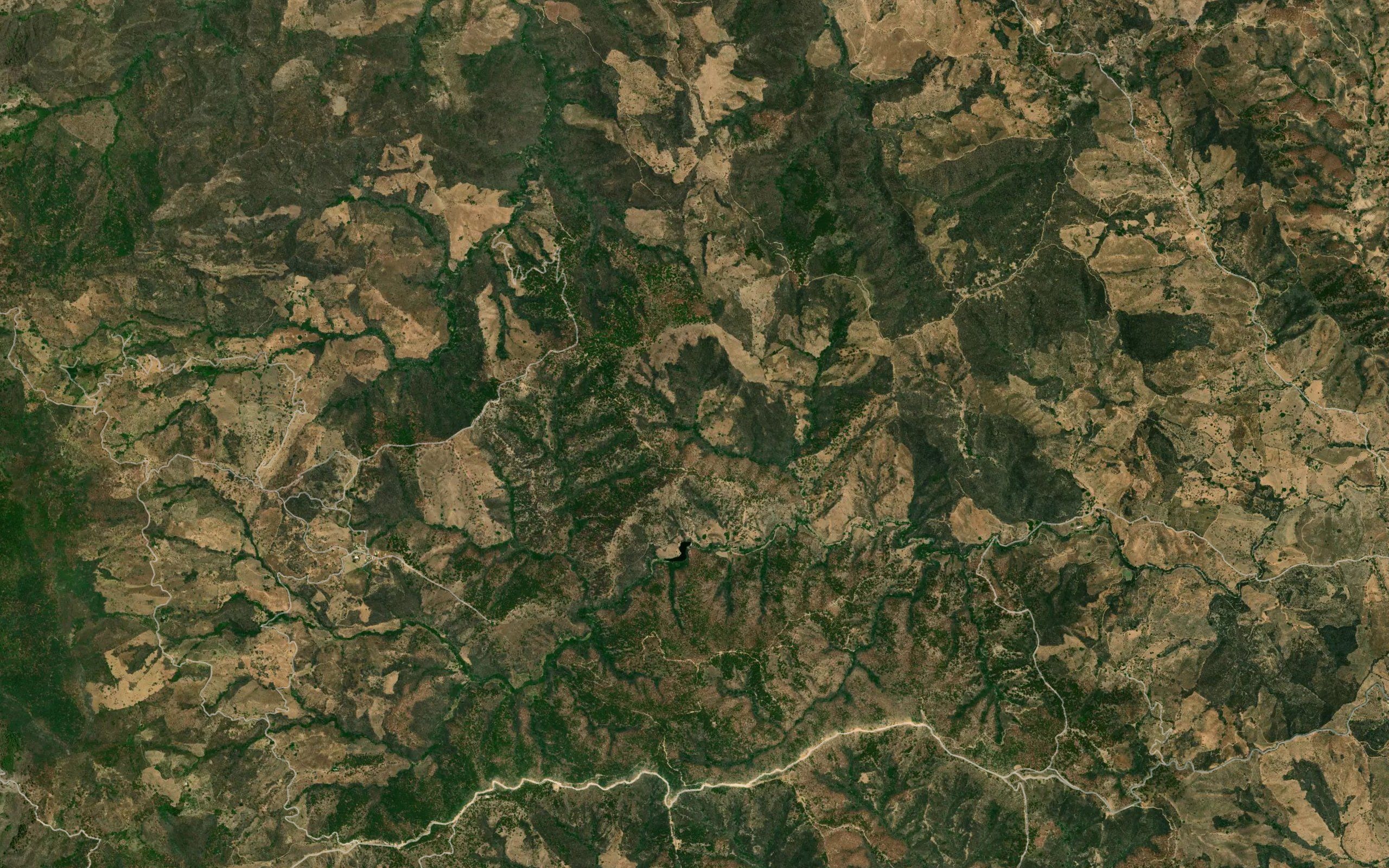 Barranca Los Postes