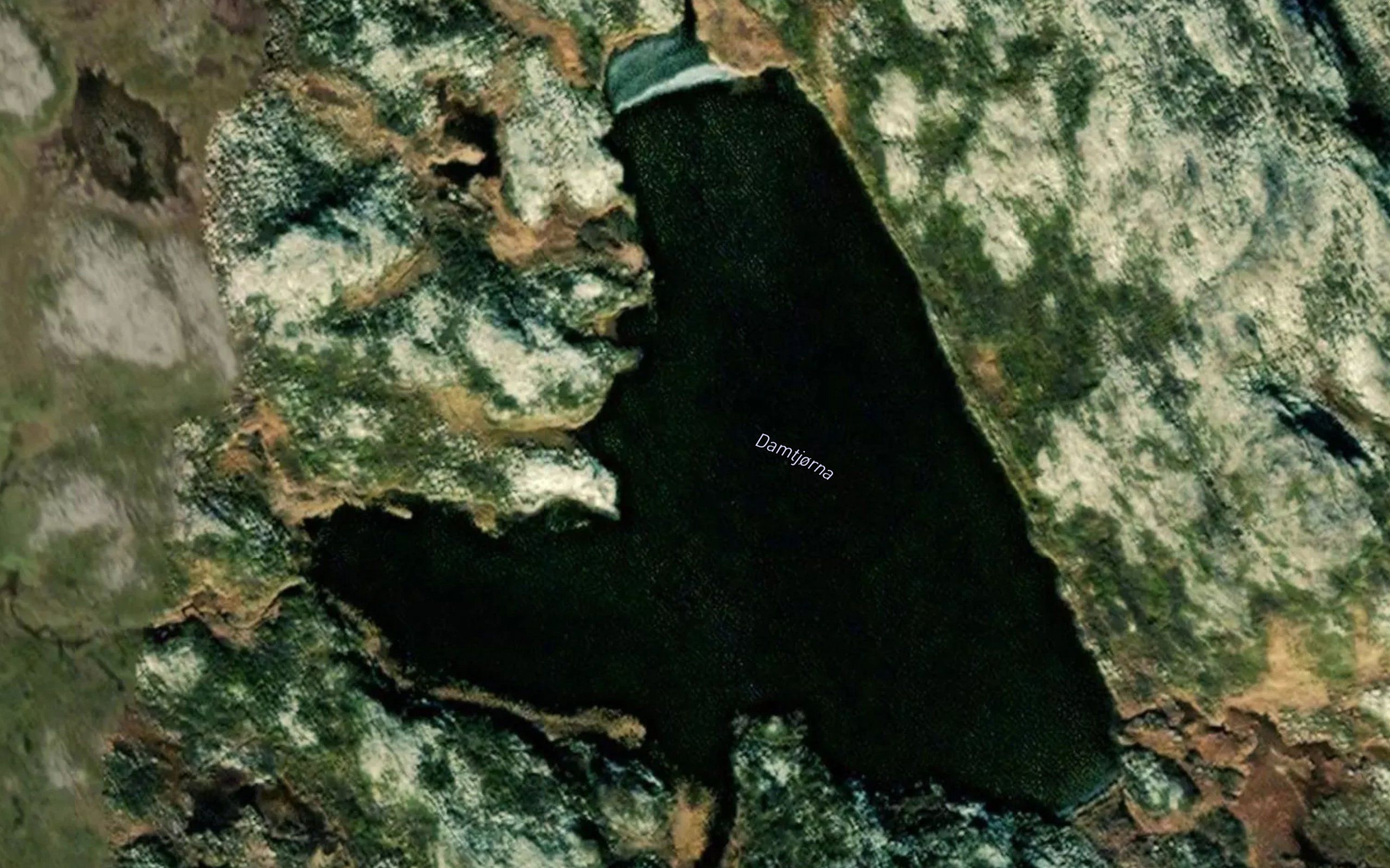 Damtjorn