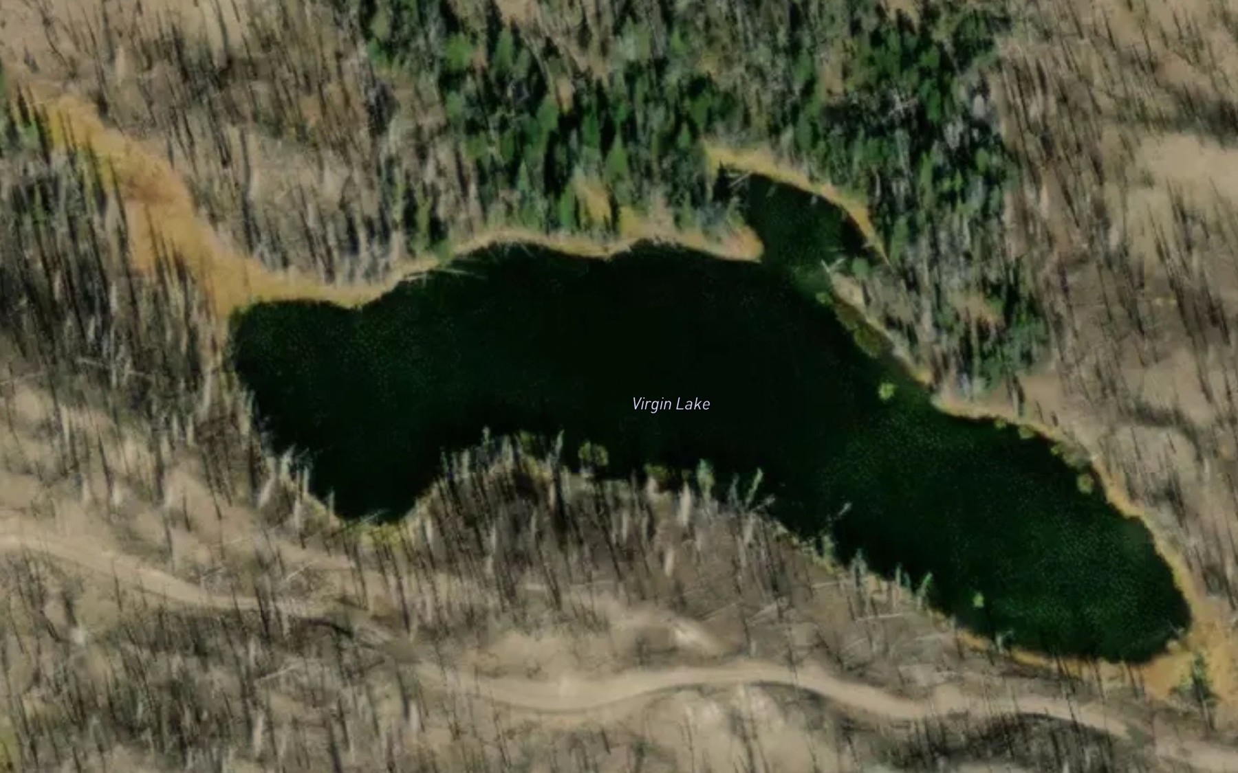 Satellite map of the Virgin Lake