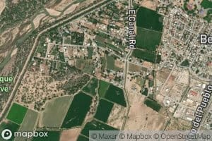 Bosque Lateral Number Two