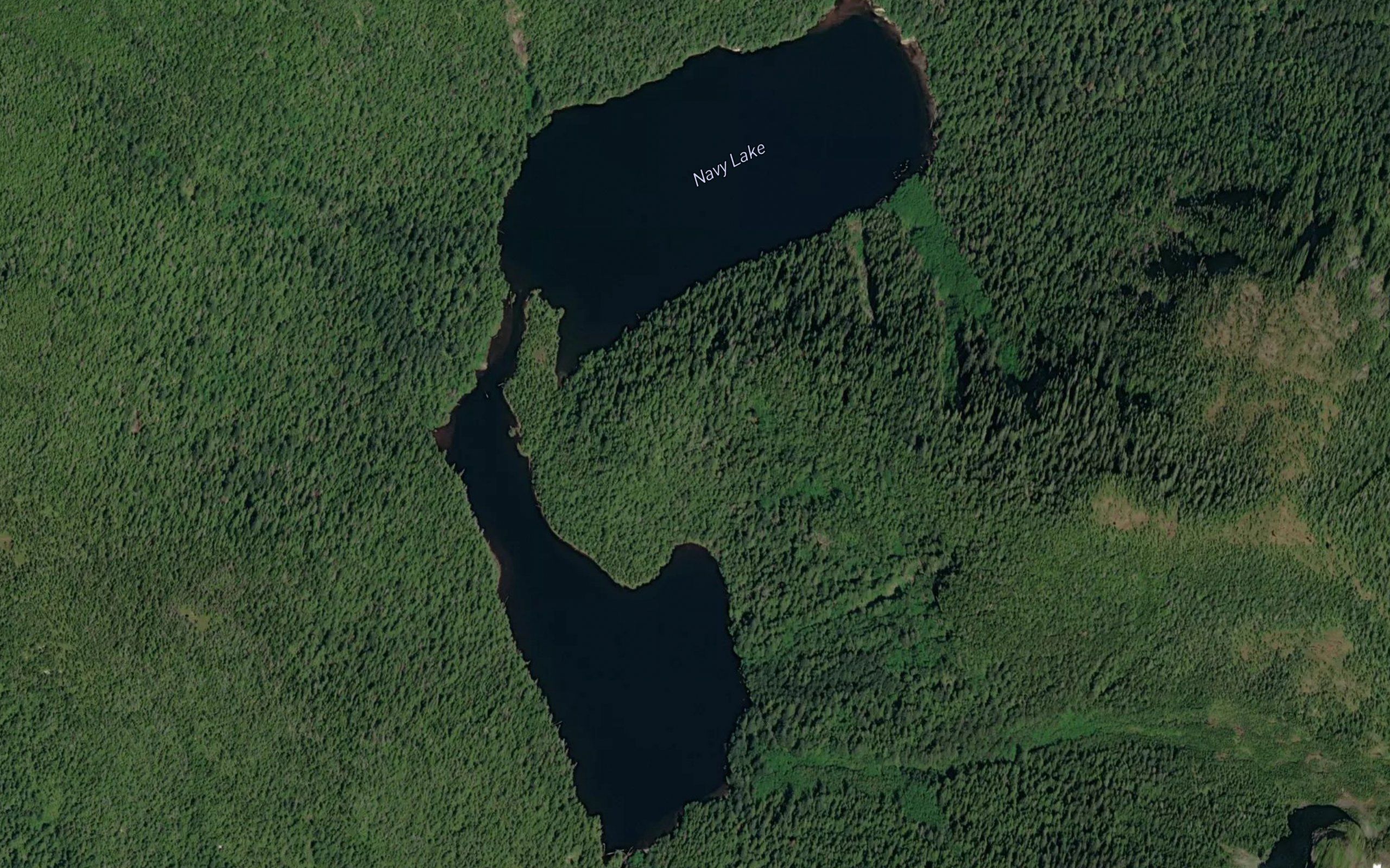 Navy Lake