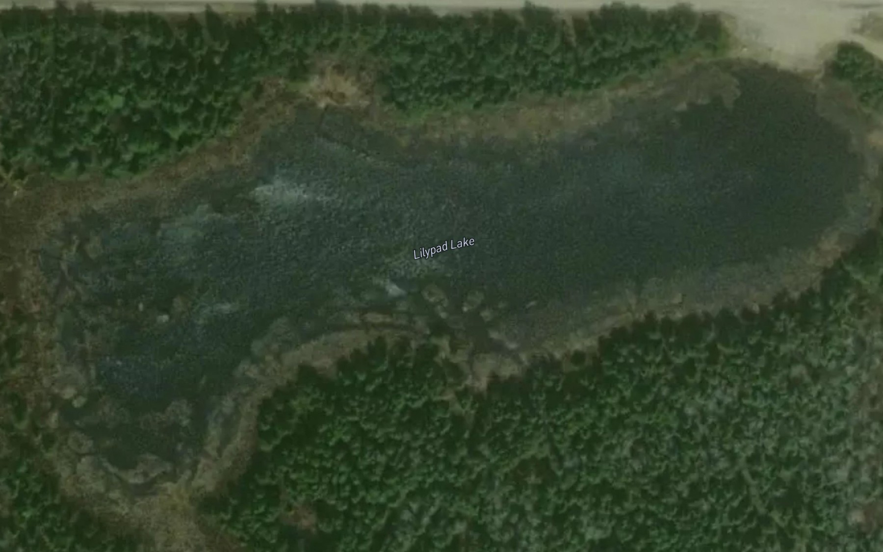 Satellite map of the Lilypad Lake