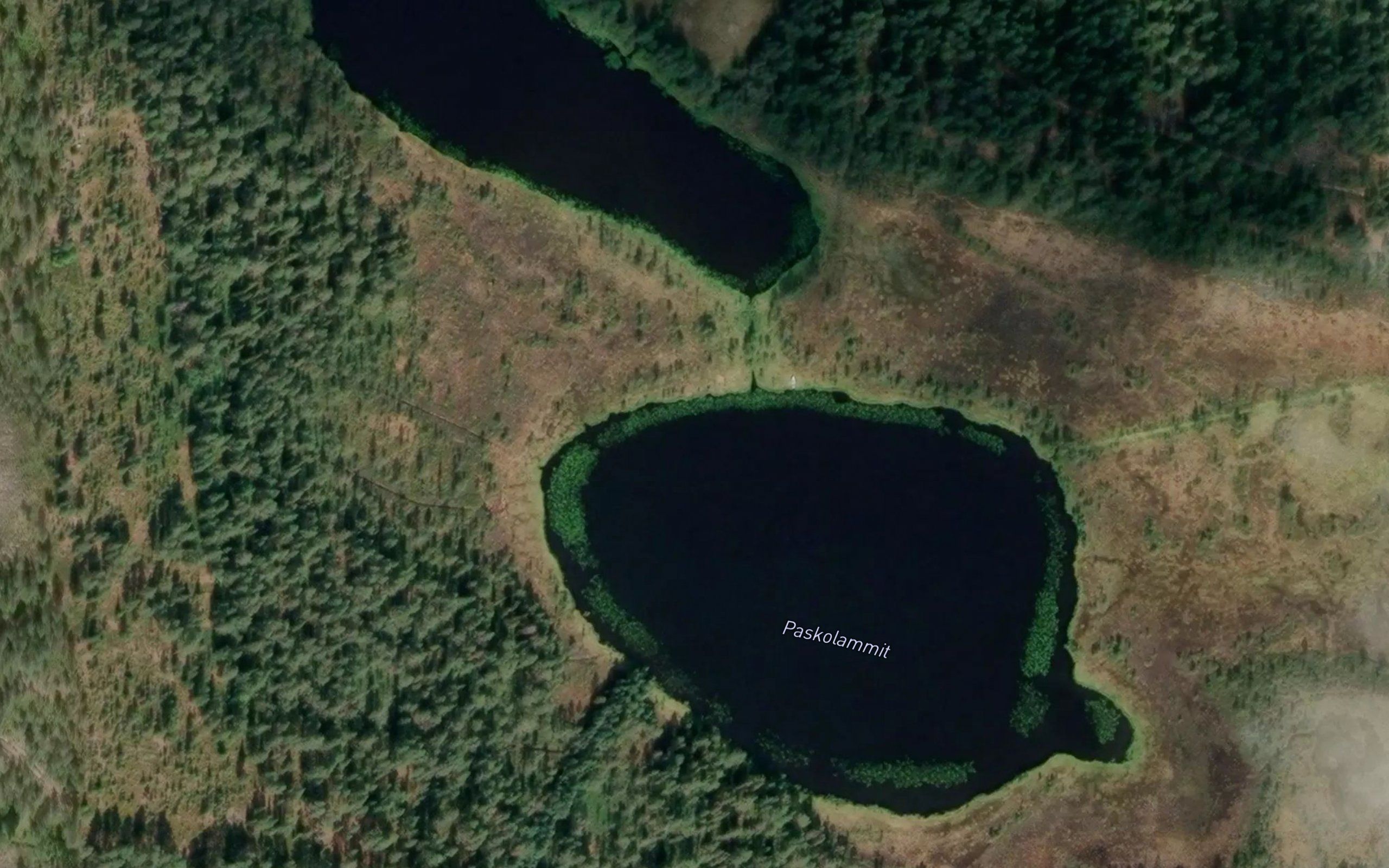 Paskolammit