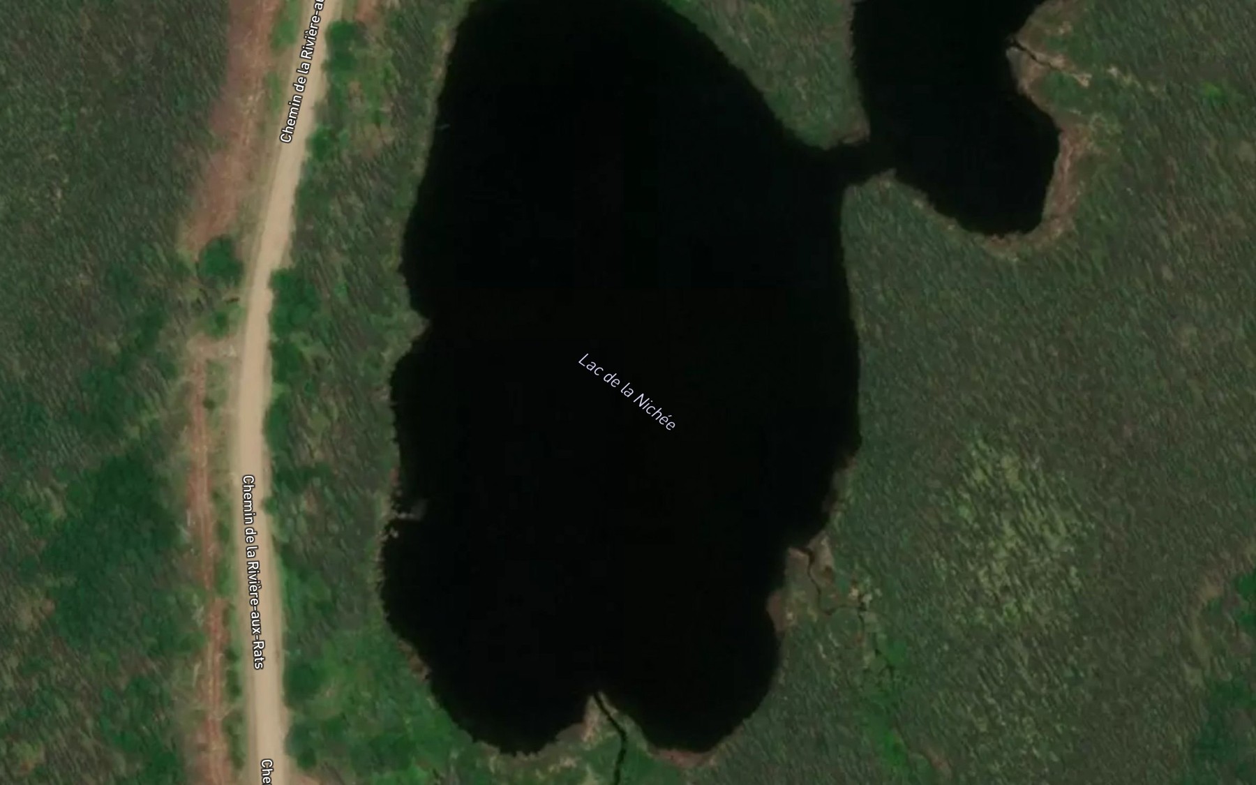 Satellite map of the Lac de la Nichee