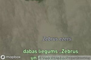 Zebrus