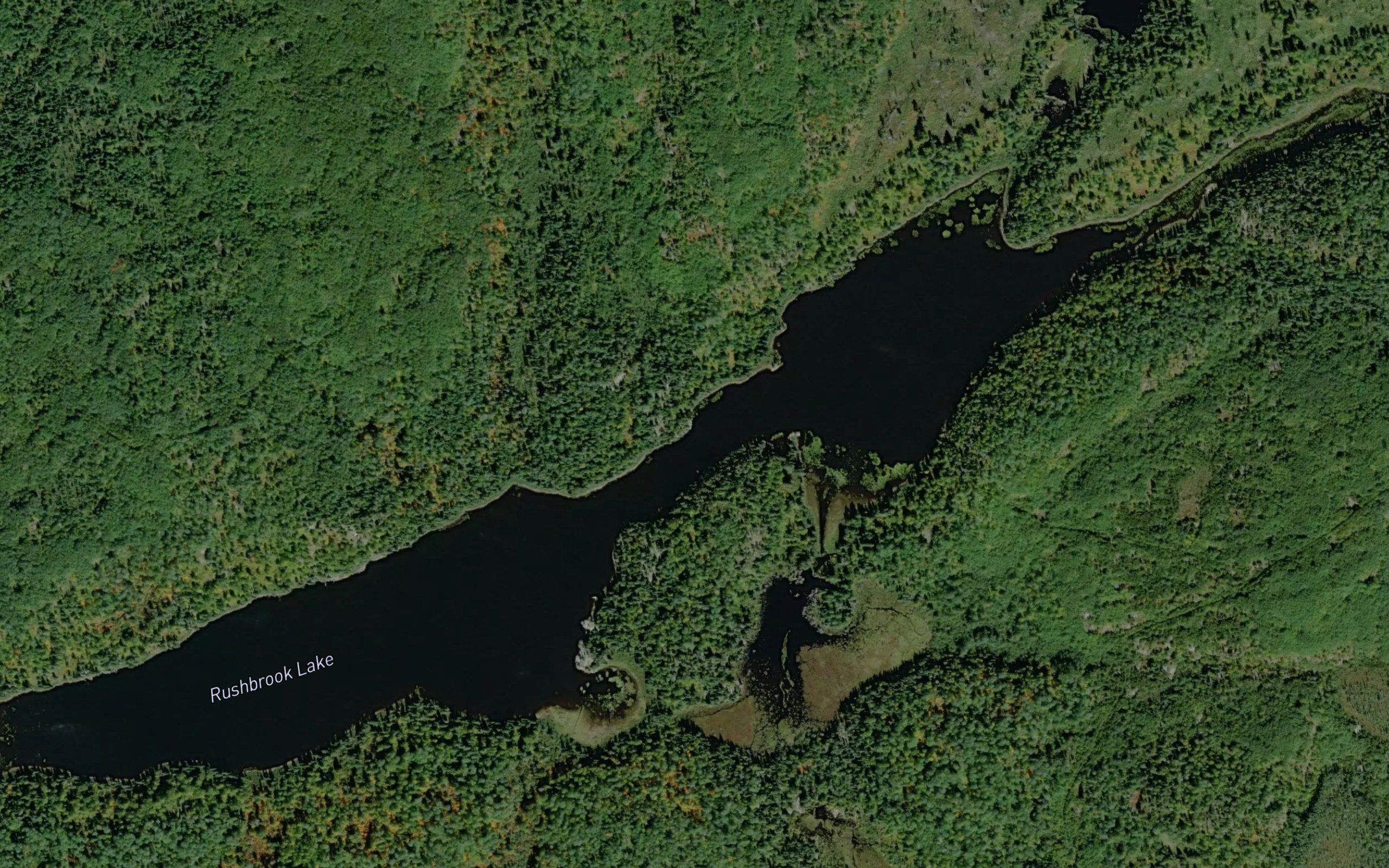 Rushbrook Lake