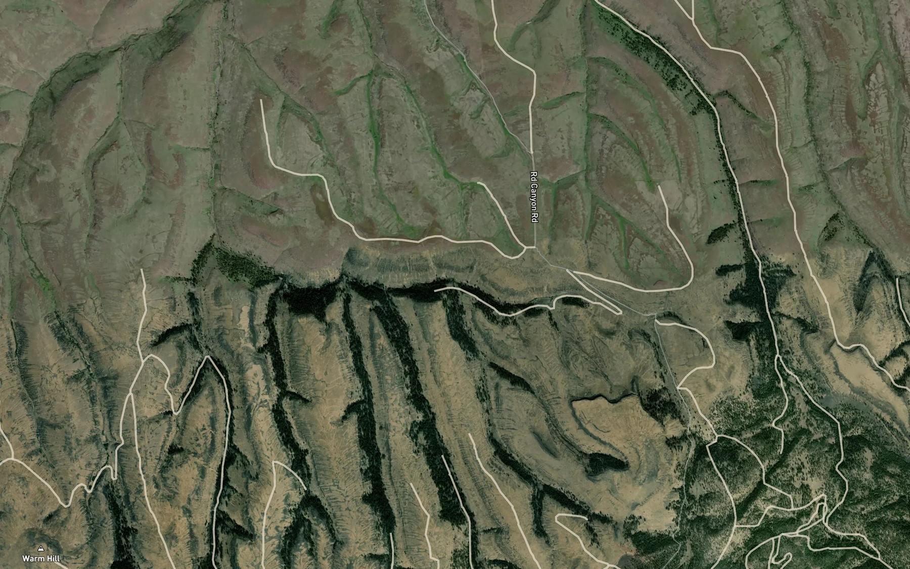 Satellite map of the Gene Creek