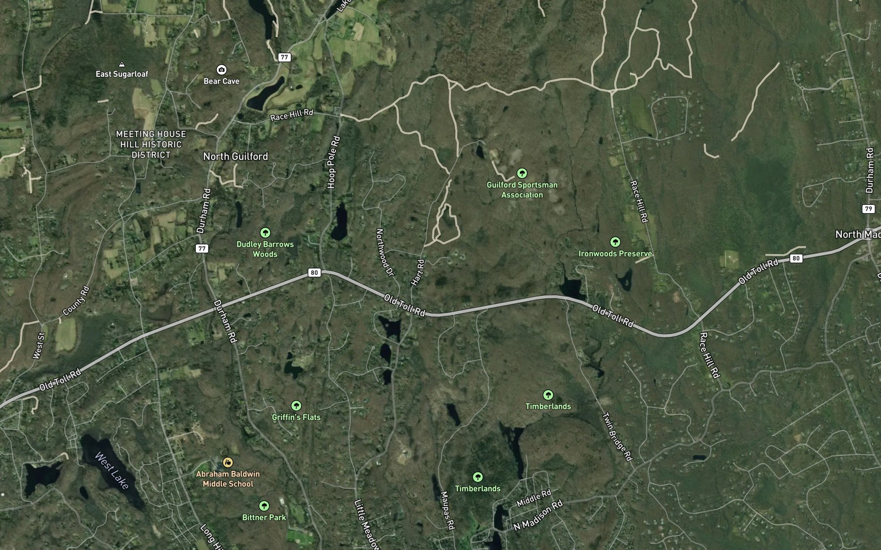 Satellite map of the Hall Lot Brook