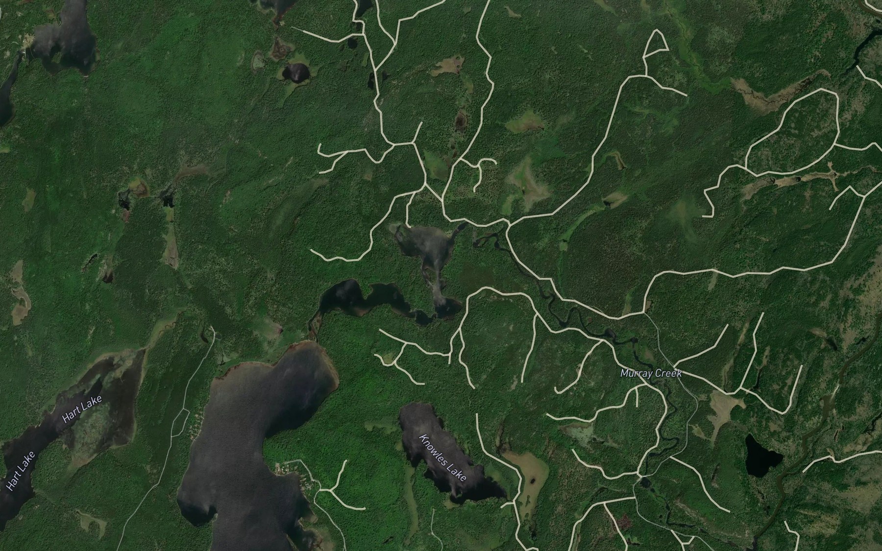 Satellite map of the Lower Murray Lake