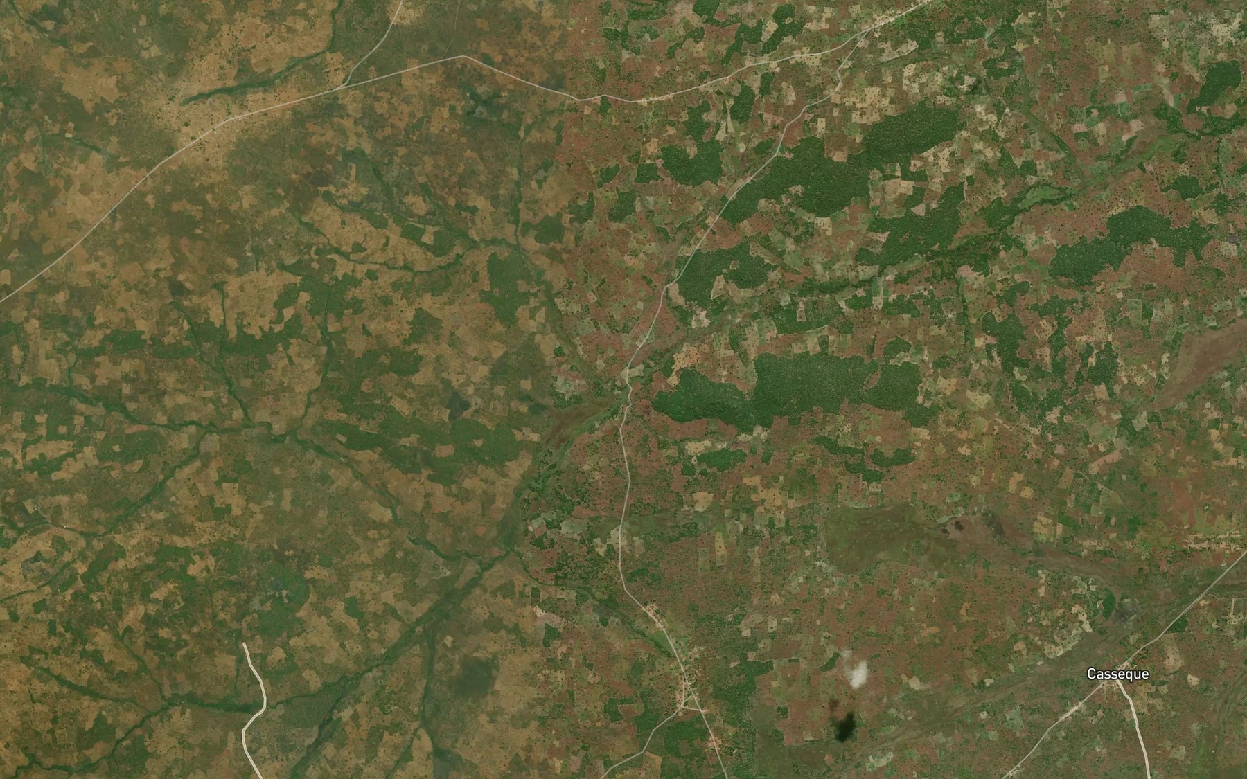 Satellite map of the Caviquene