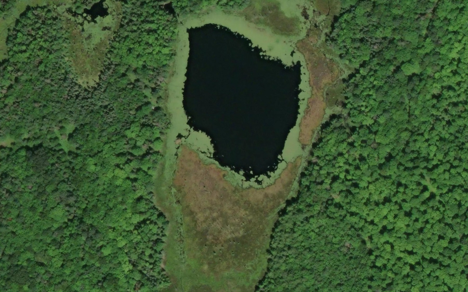 Satellite map of the Brown Lake