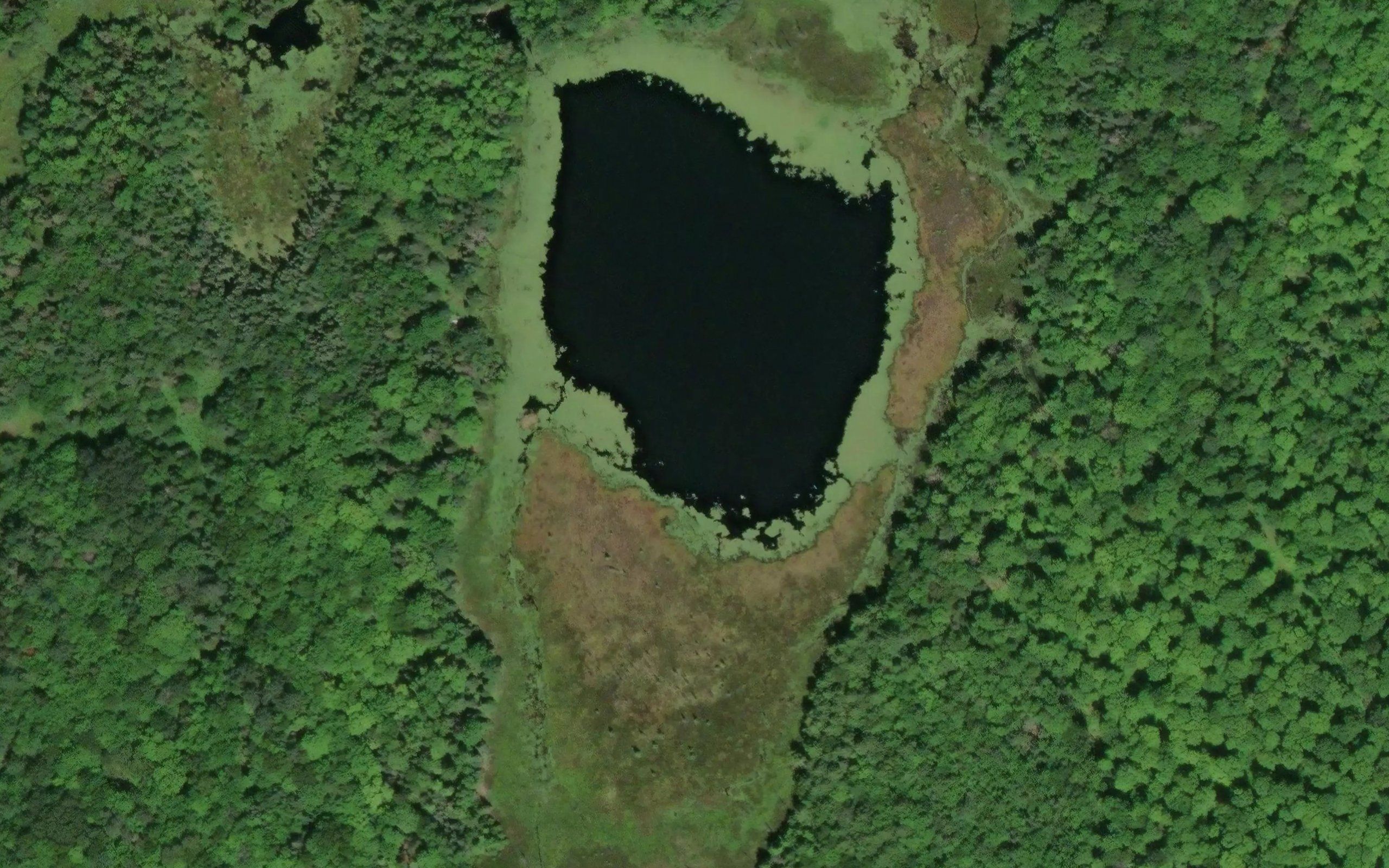 Brown Lake