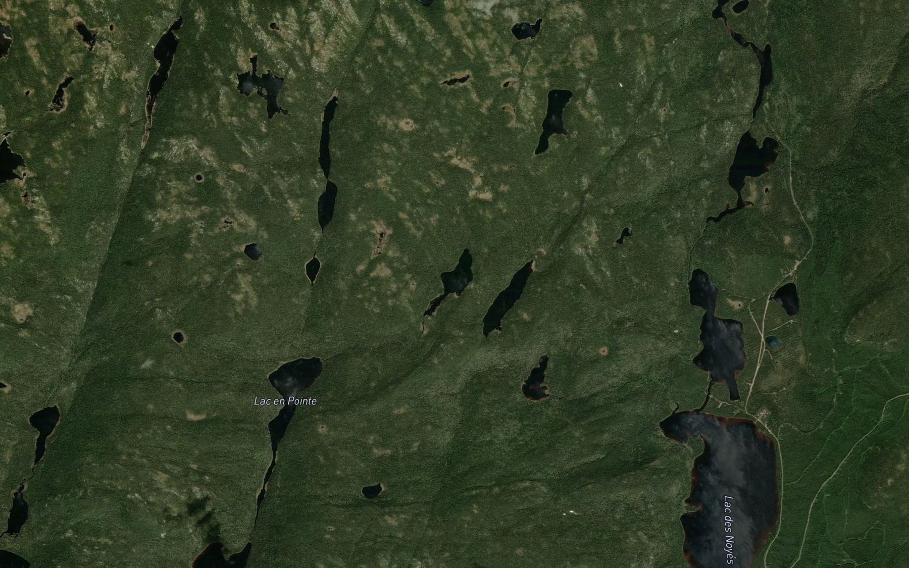 Satellite map of the Lac Orcival