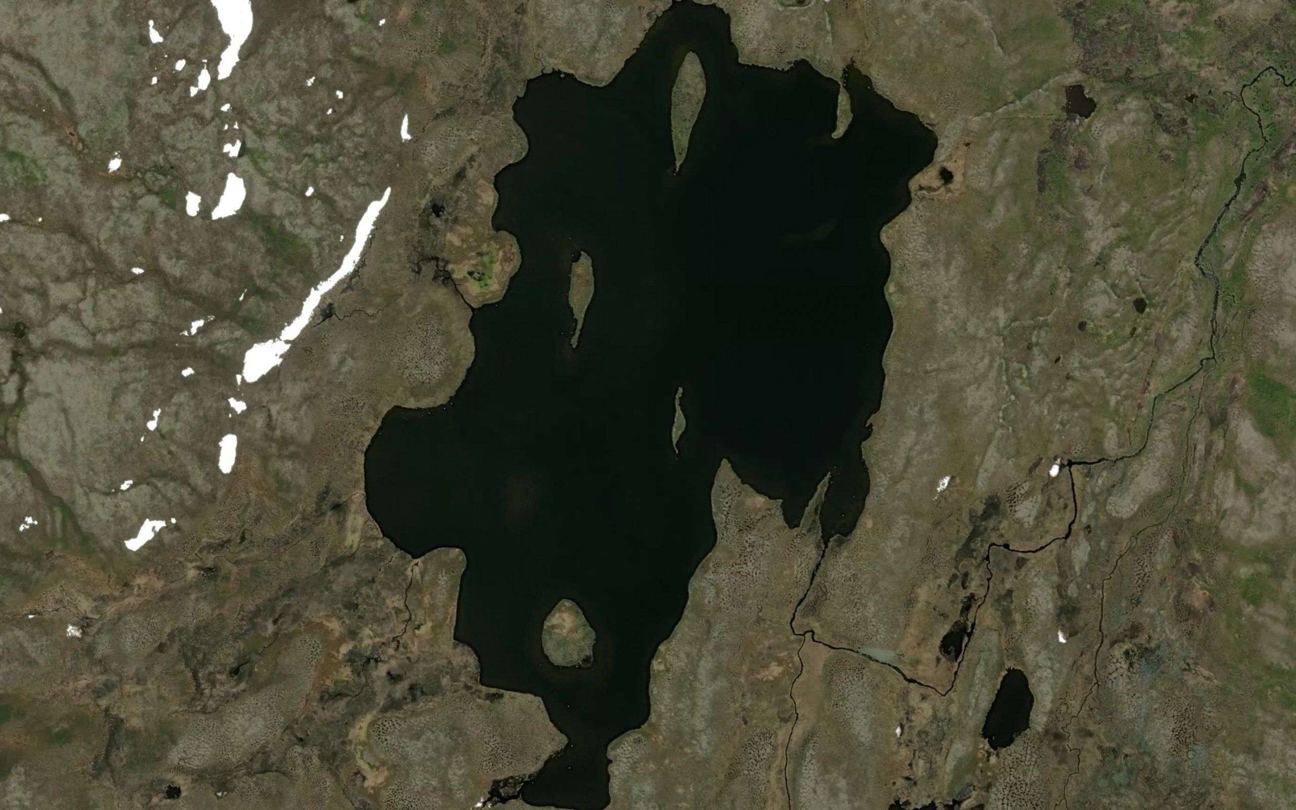 Farppaljavri