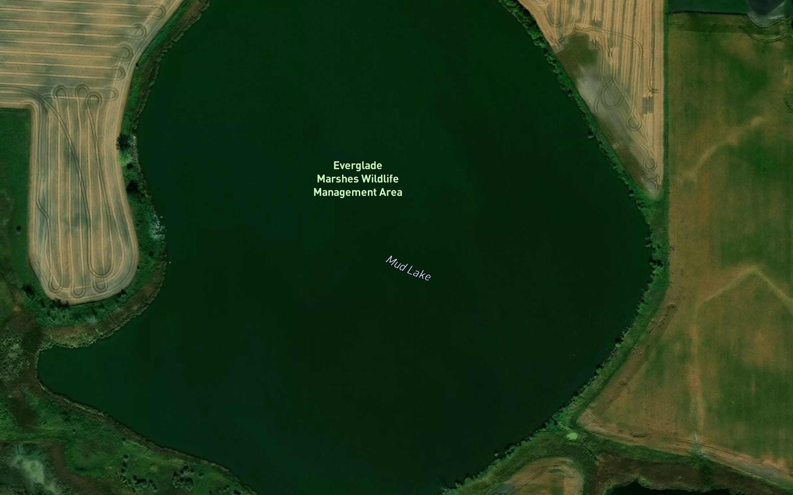 Mud Lake
