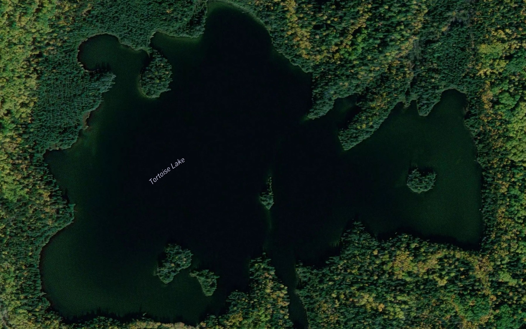 Satellite map of the Tortoise Lake