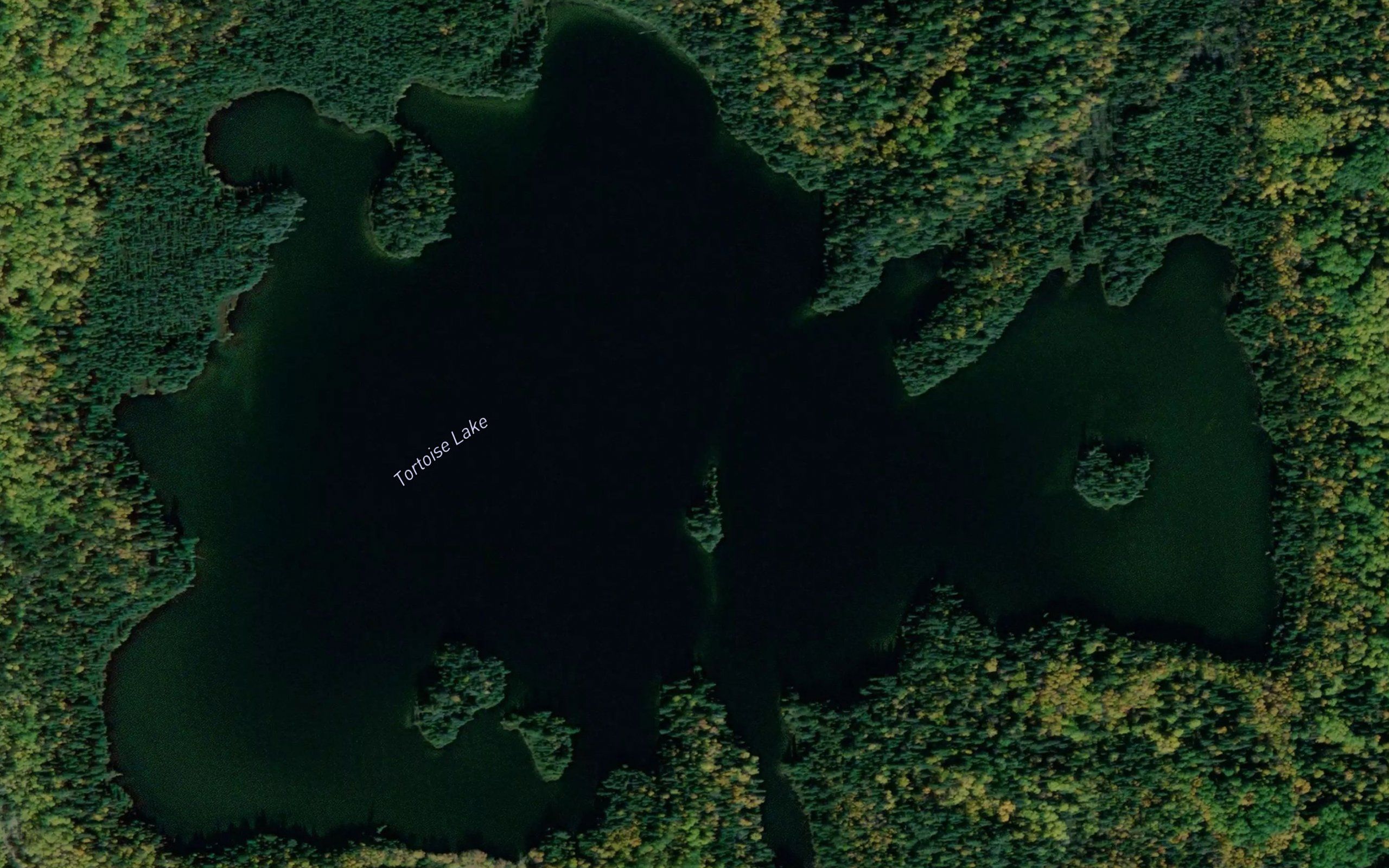 Tortoise Lake