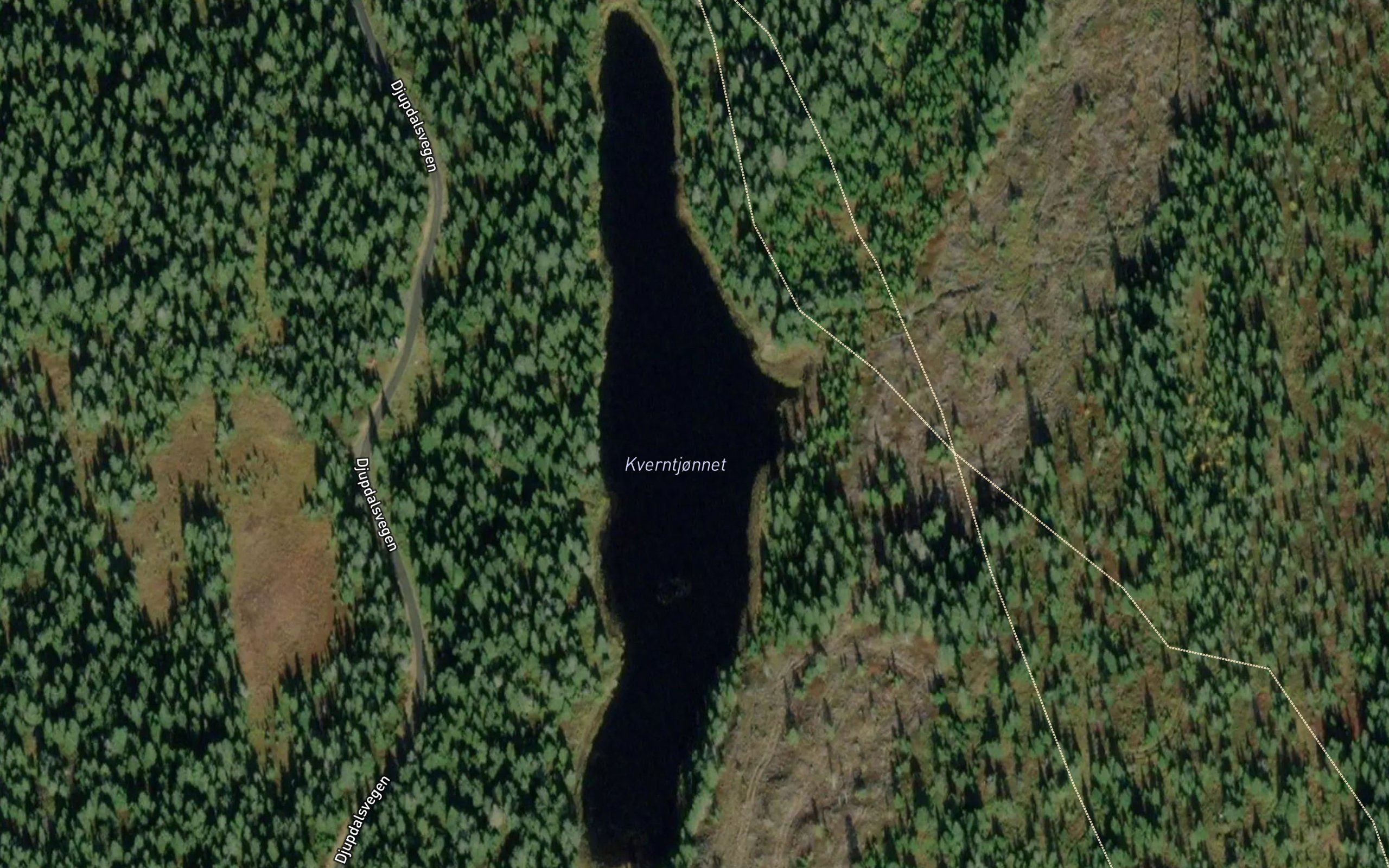 Kverntjornet