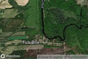 Eagle Swamp