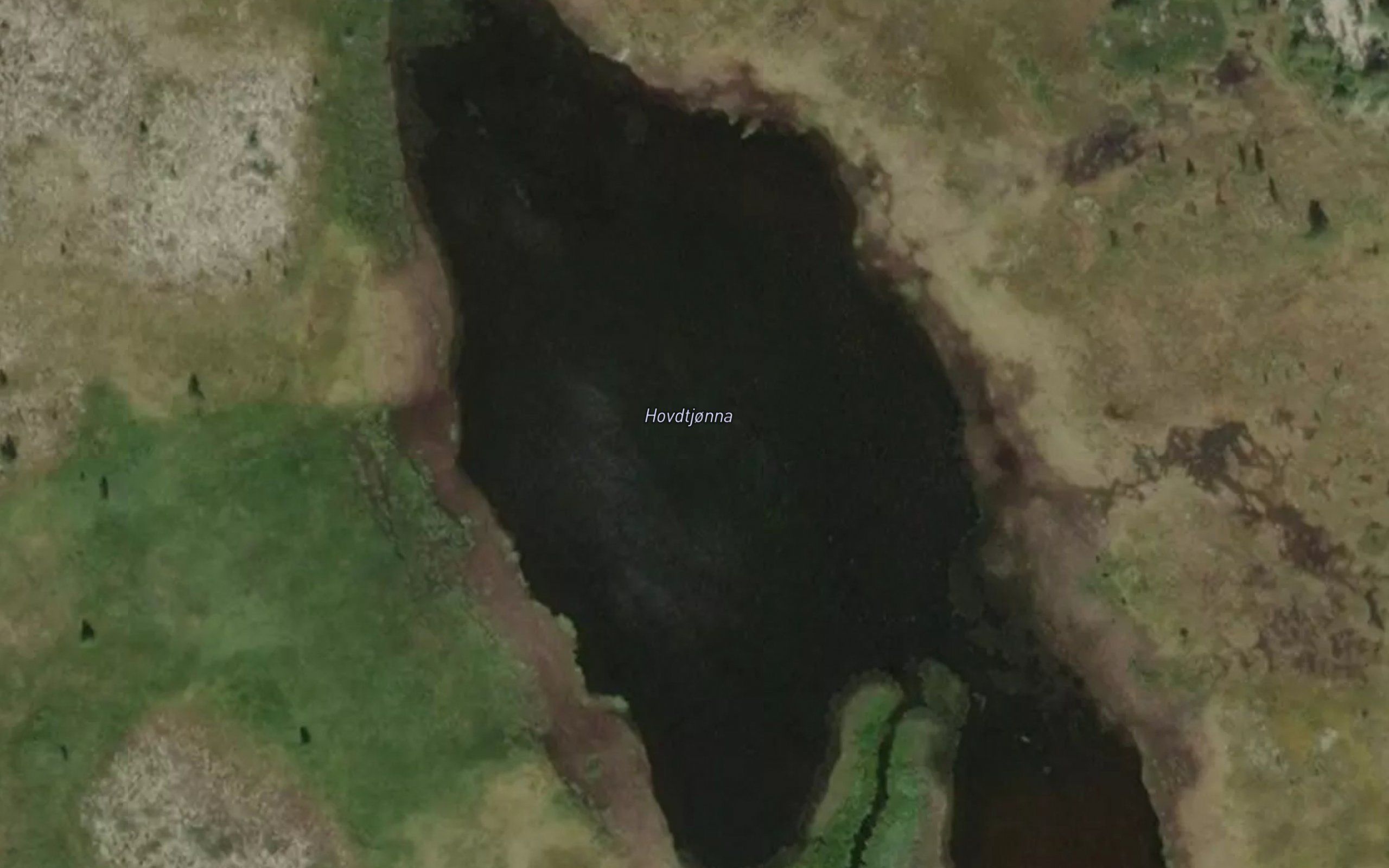 Hovdtjorna