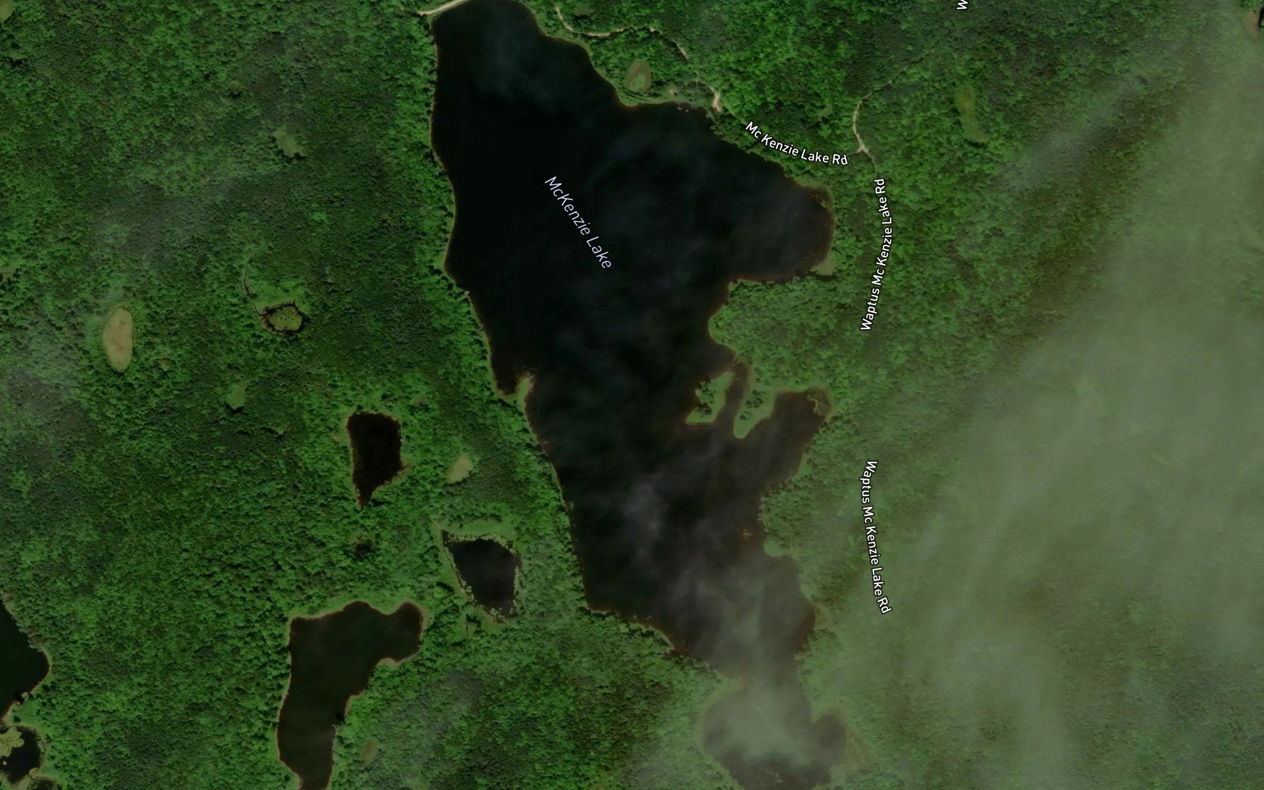 McKenzie Lake