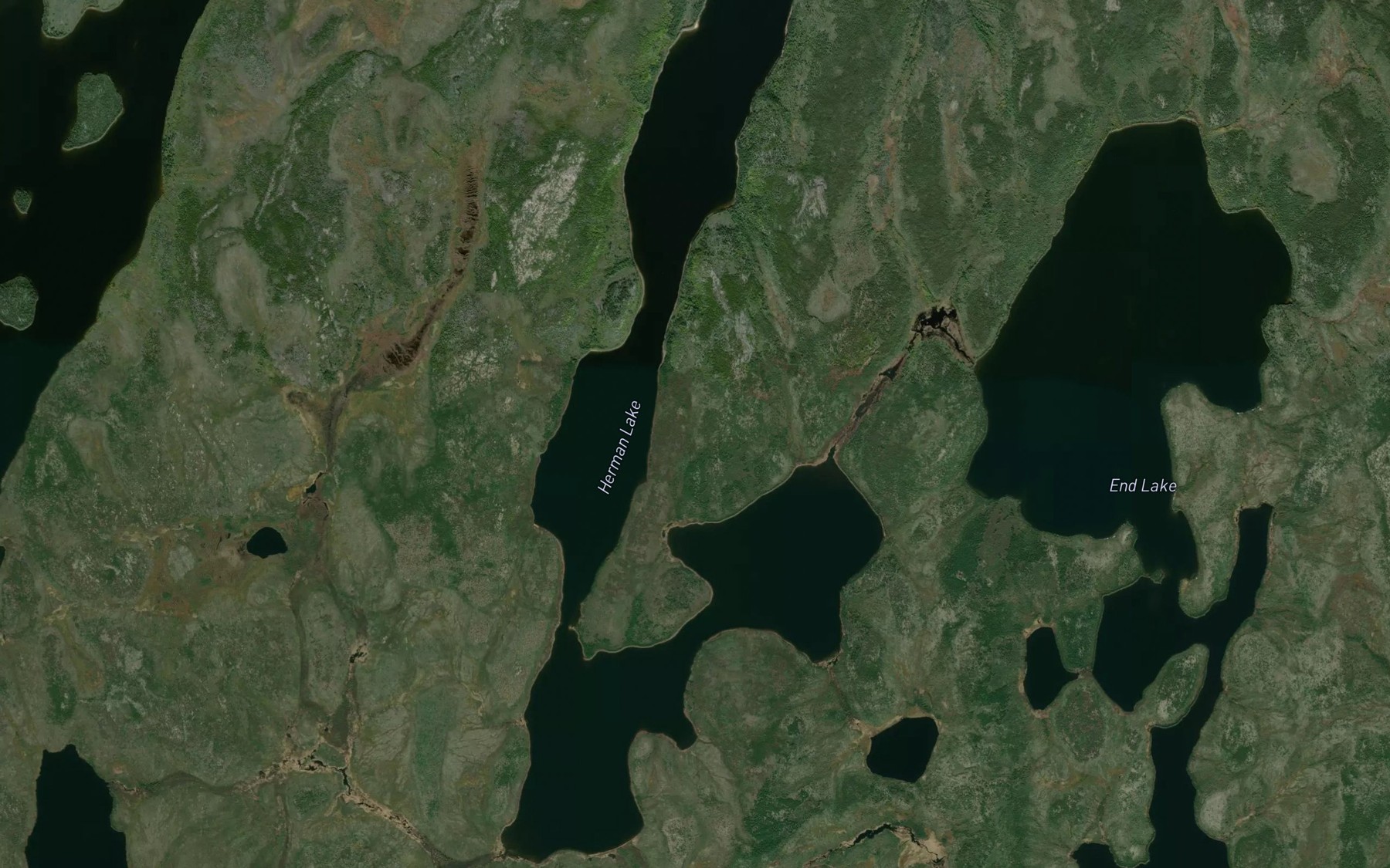 Satellite map of the Herman Lake