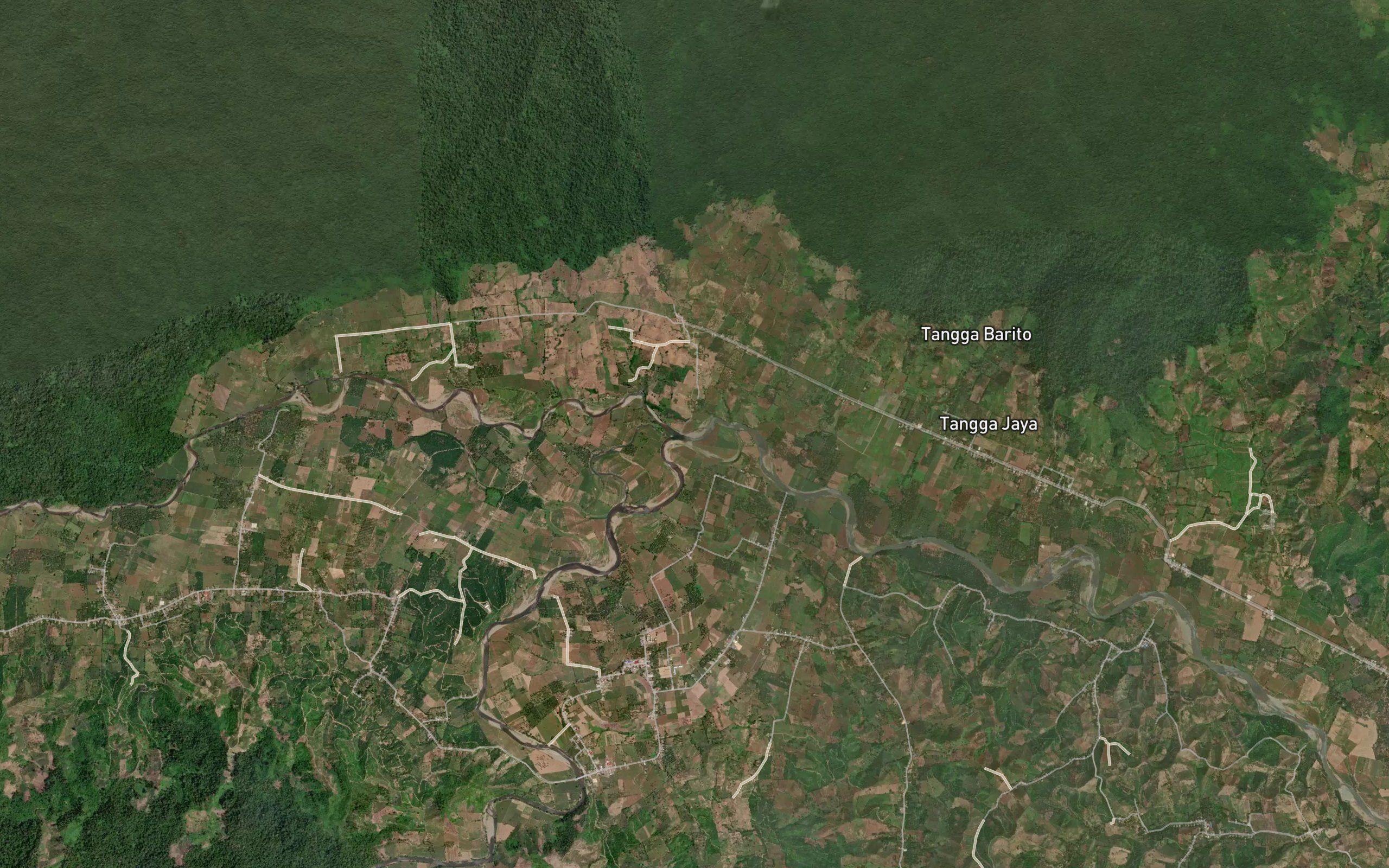 Dutula Nantu