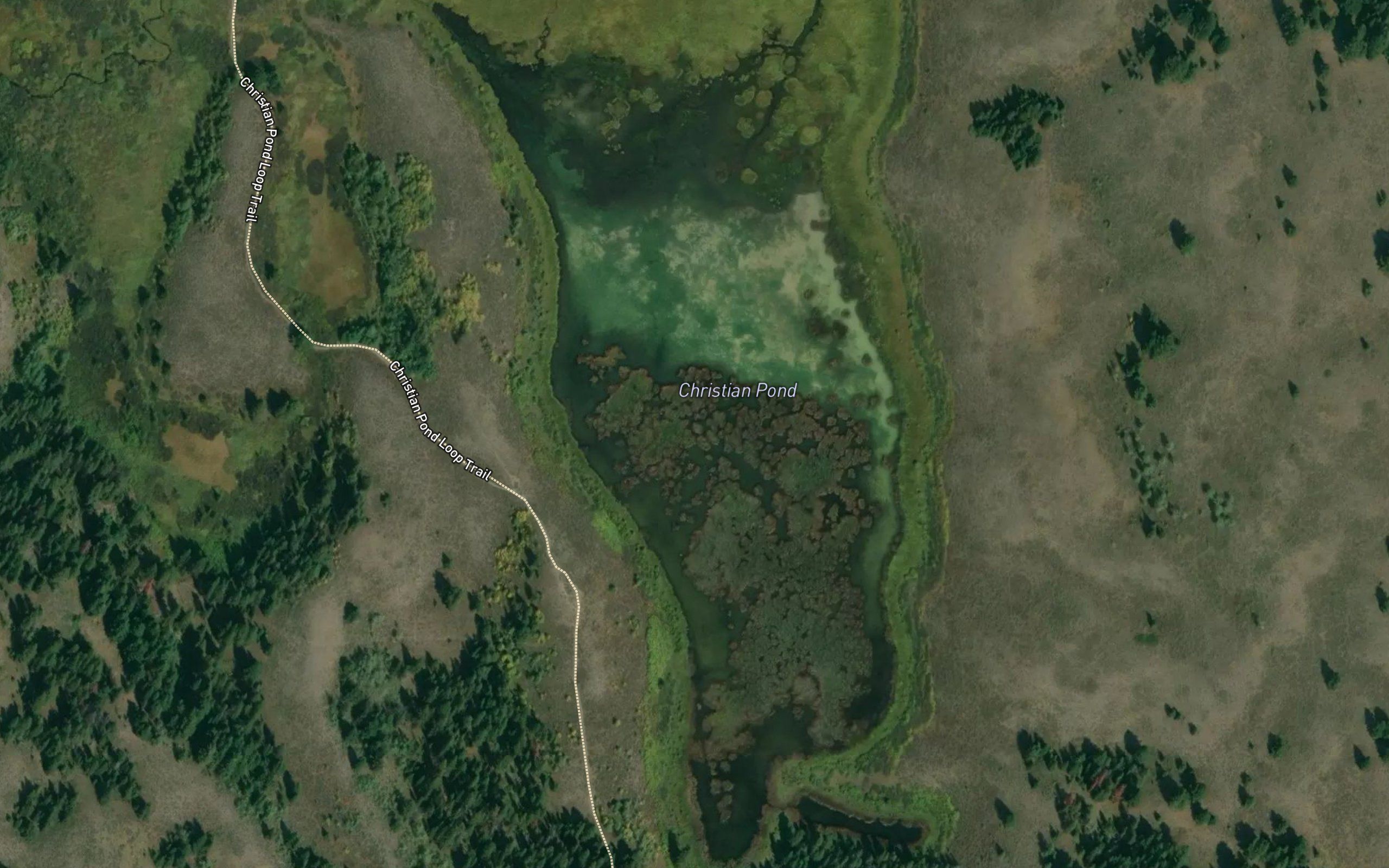 Christian Pond