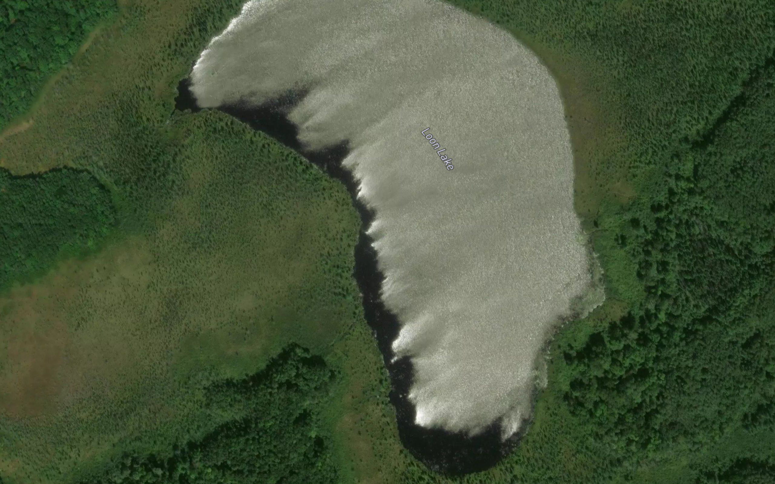 Loon Lake