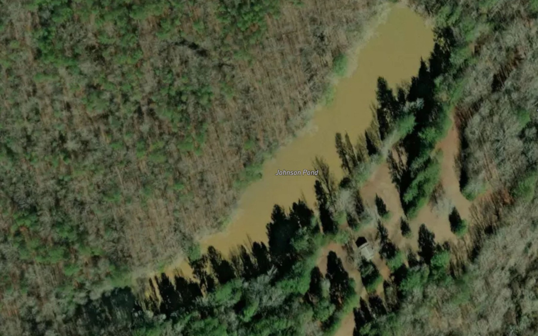 Satellite map of the Johnson Pond