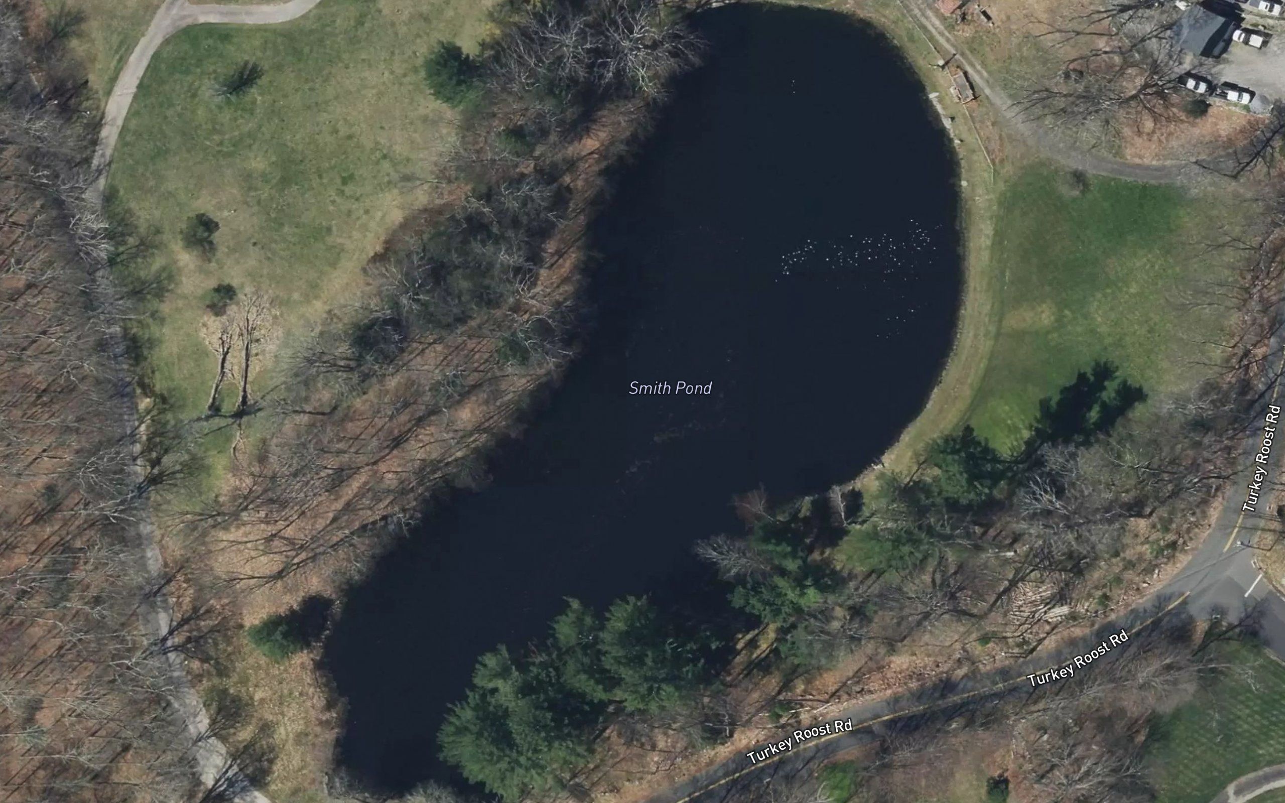 Smith Pond