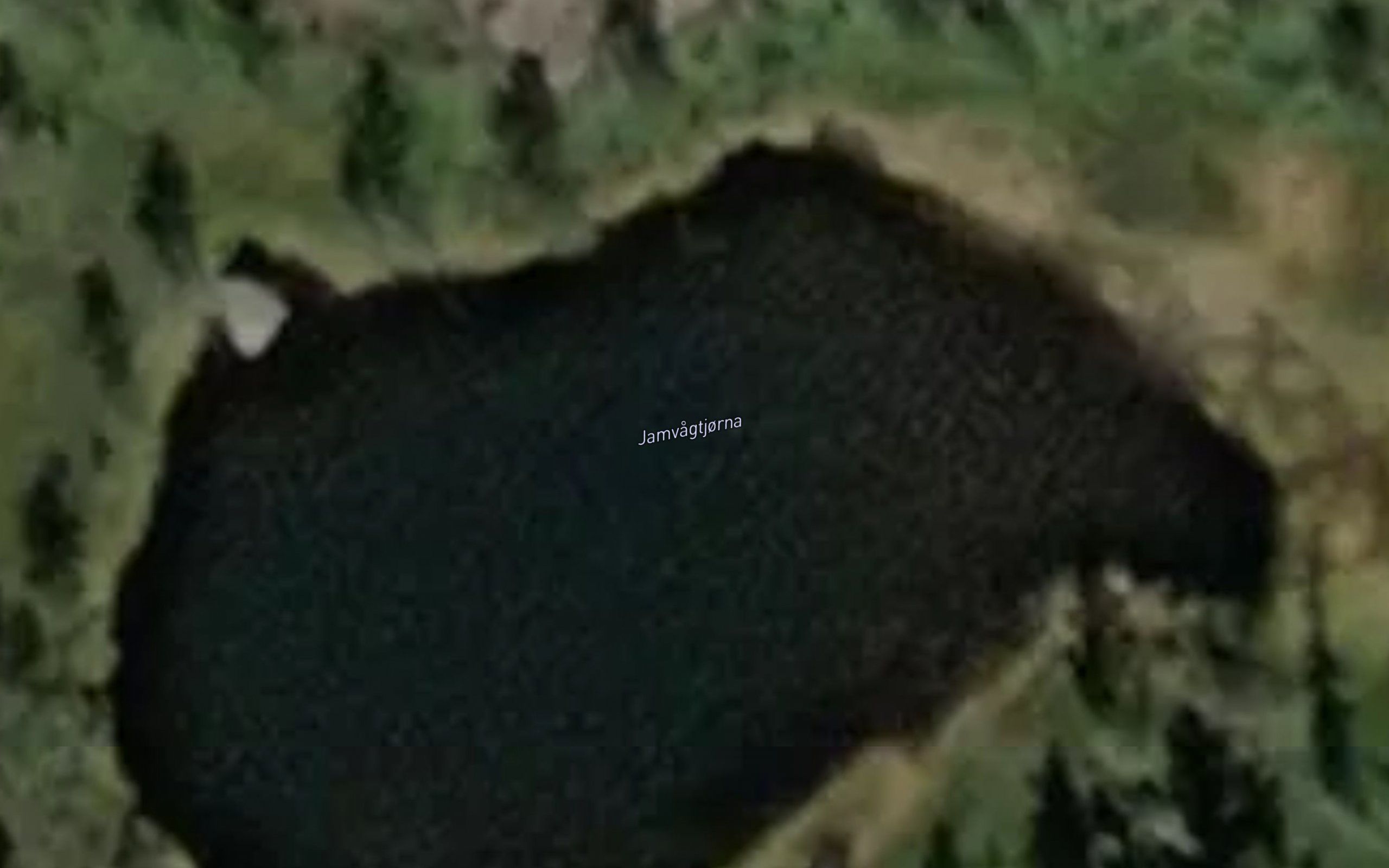 Jamvagtjorna