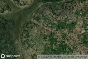 Pad' Sukhaya Chernukha