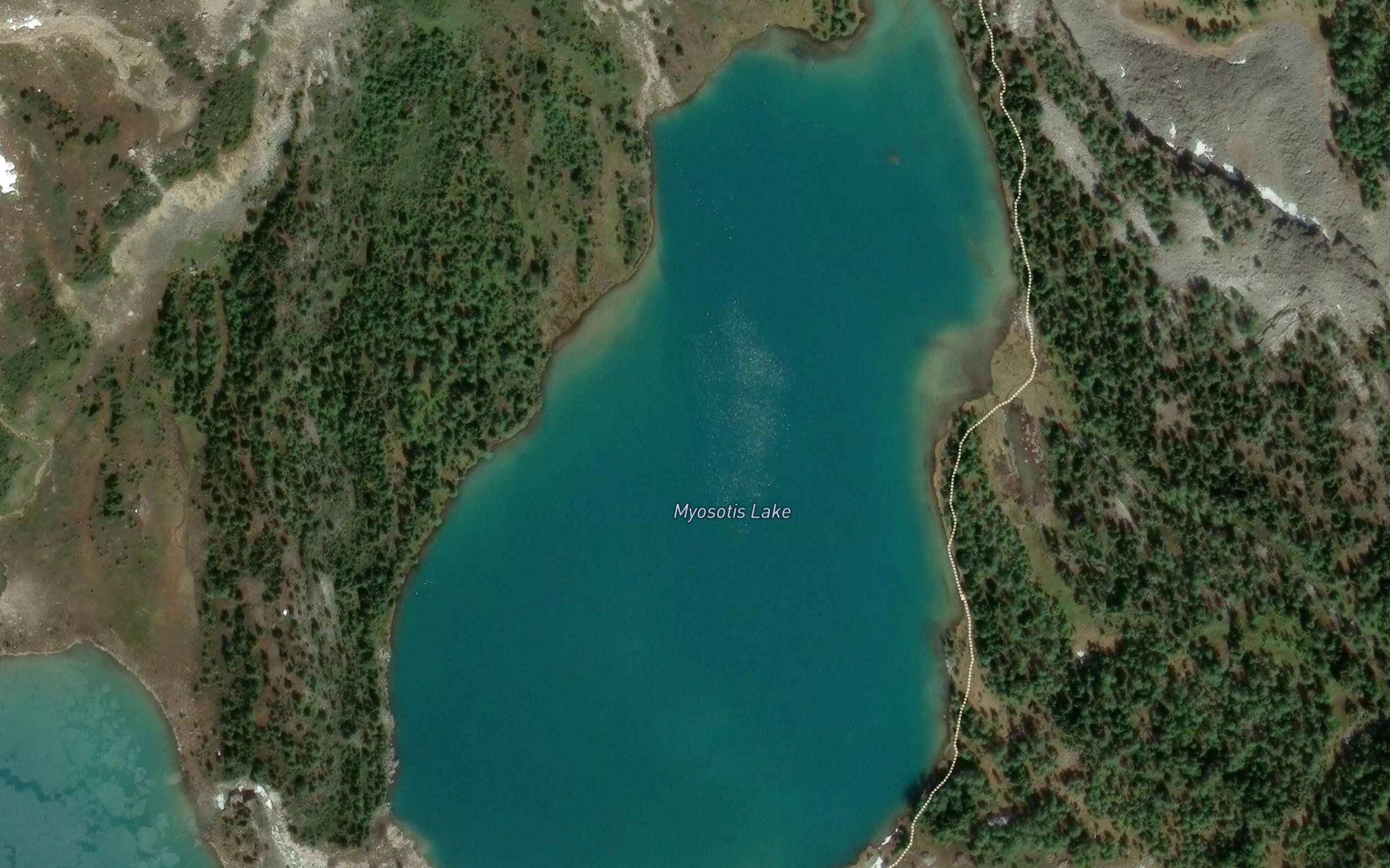 Myosotis Lake
