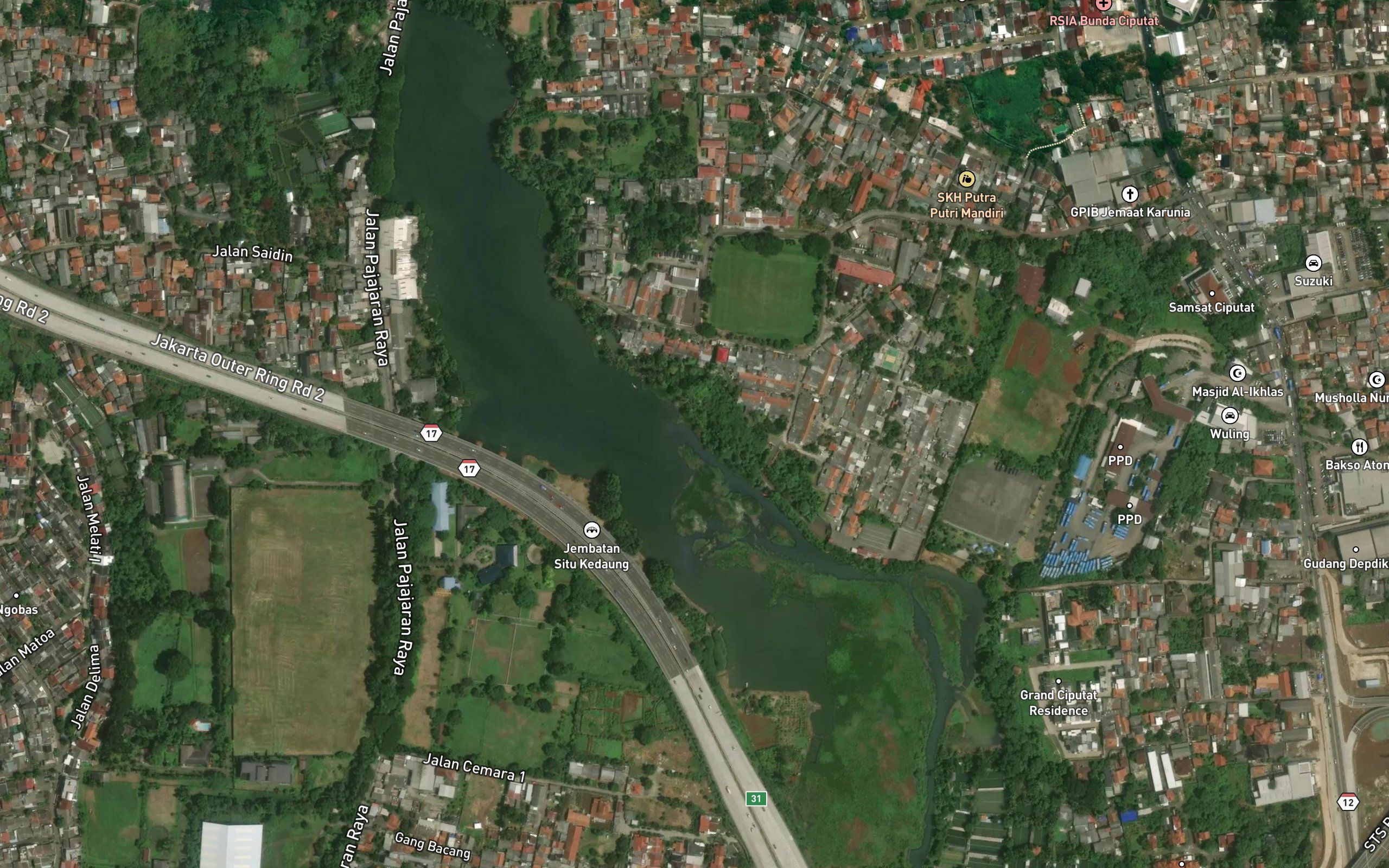 Situ Kedaung