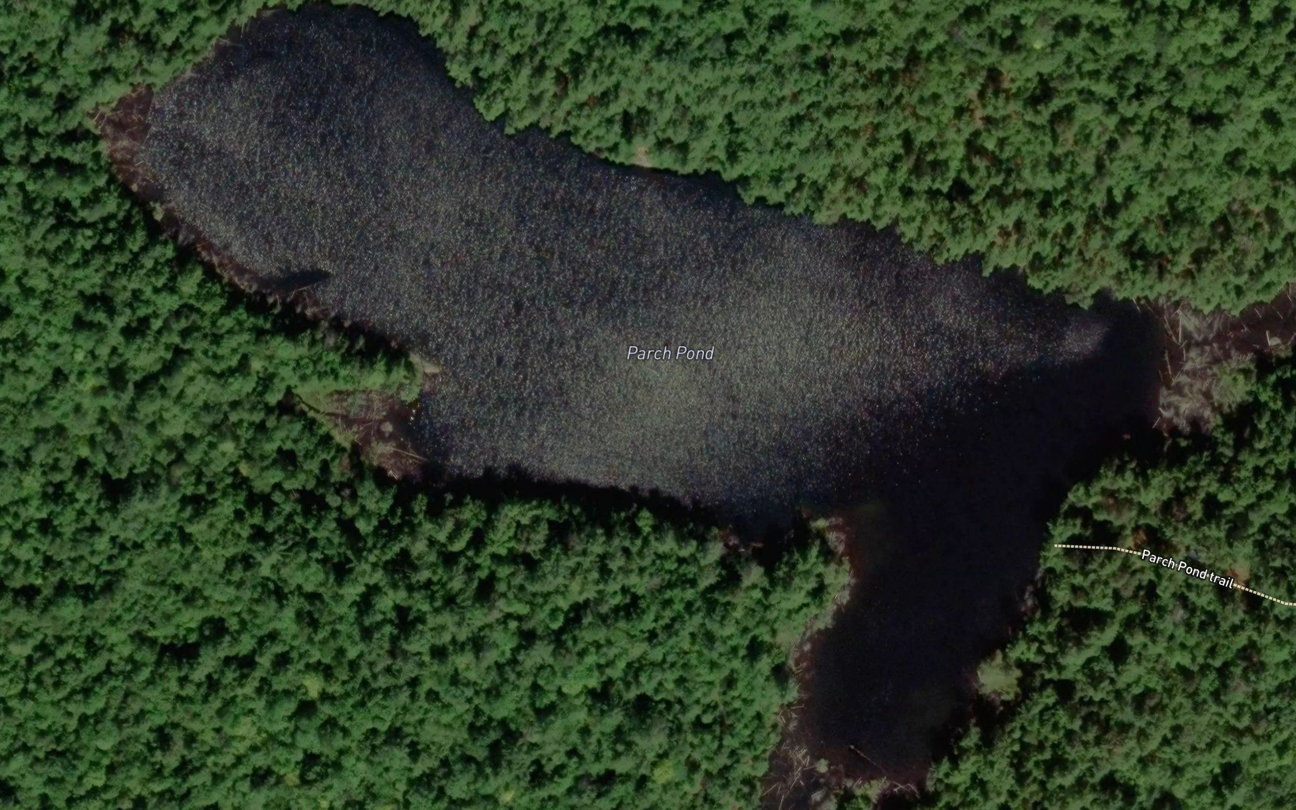 Parch Pond