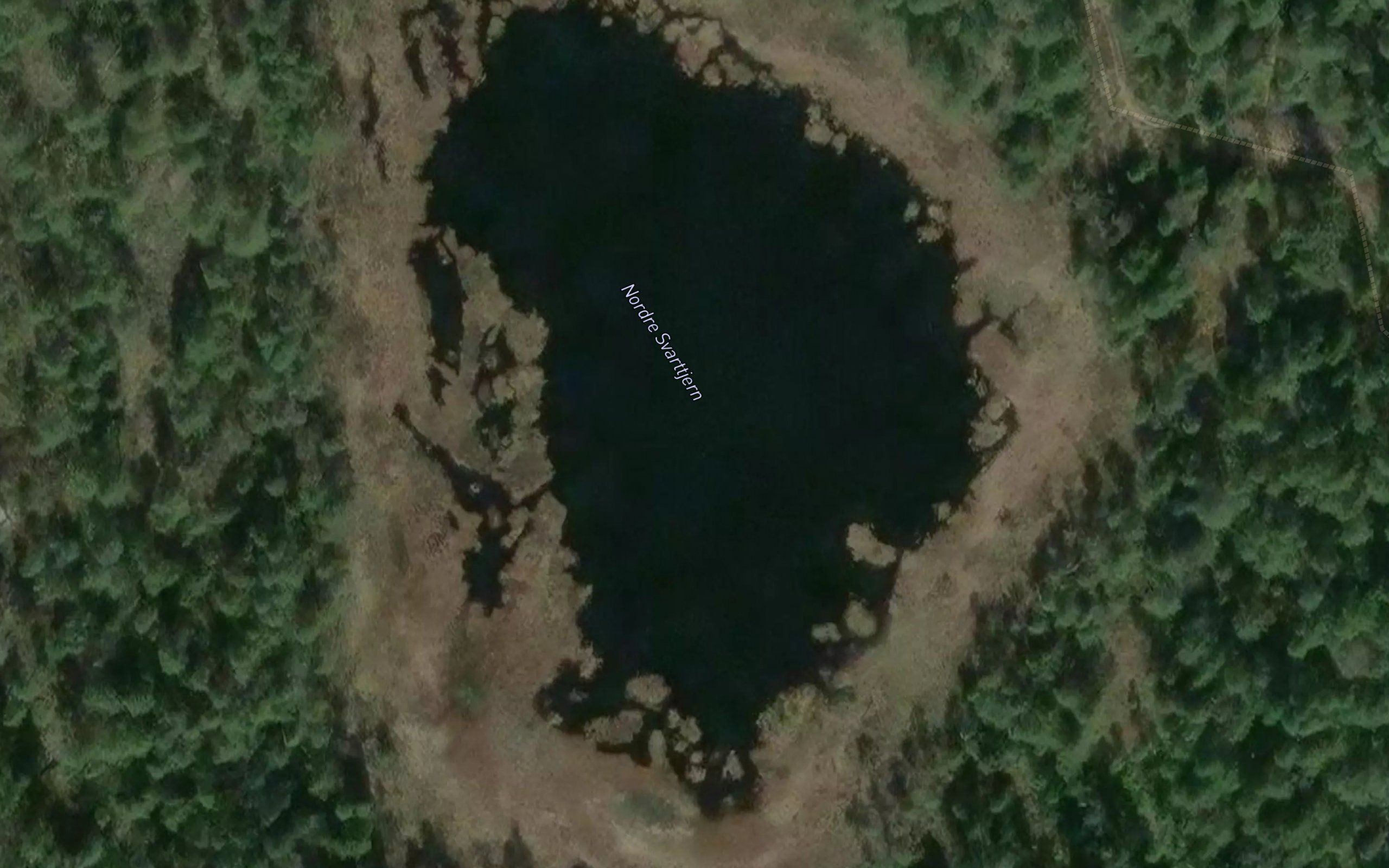 Nedre Svarttjern