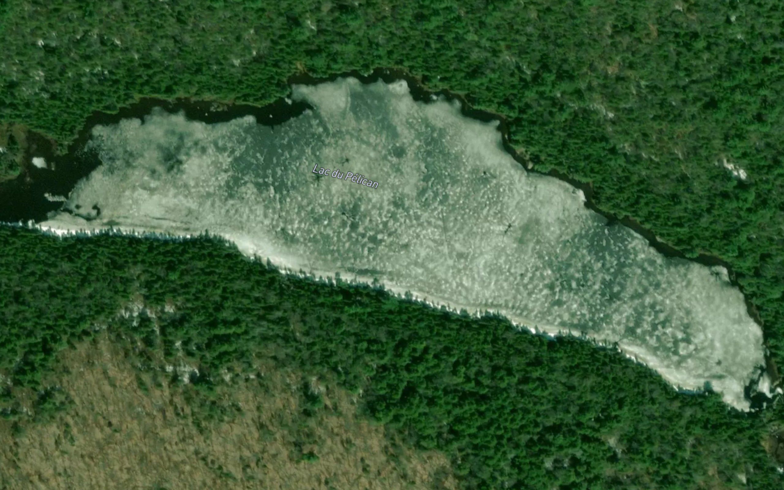 Lac du Pelican