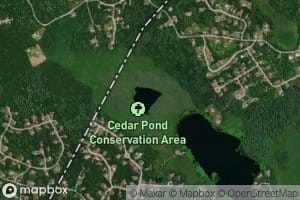 Cedar Pond