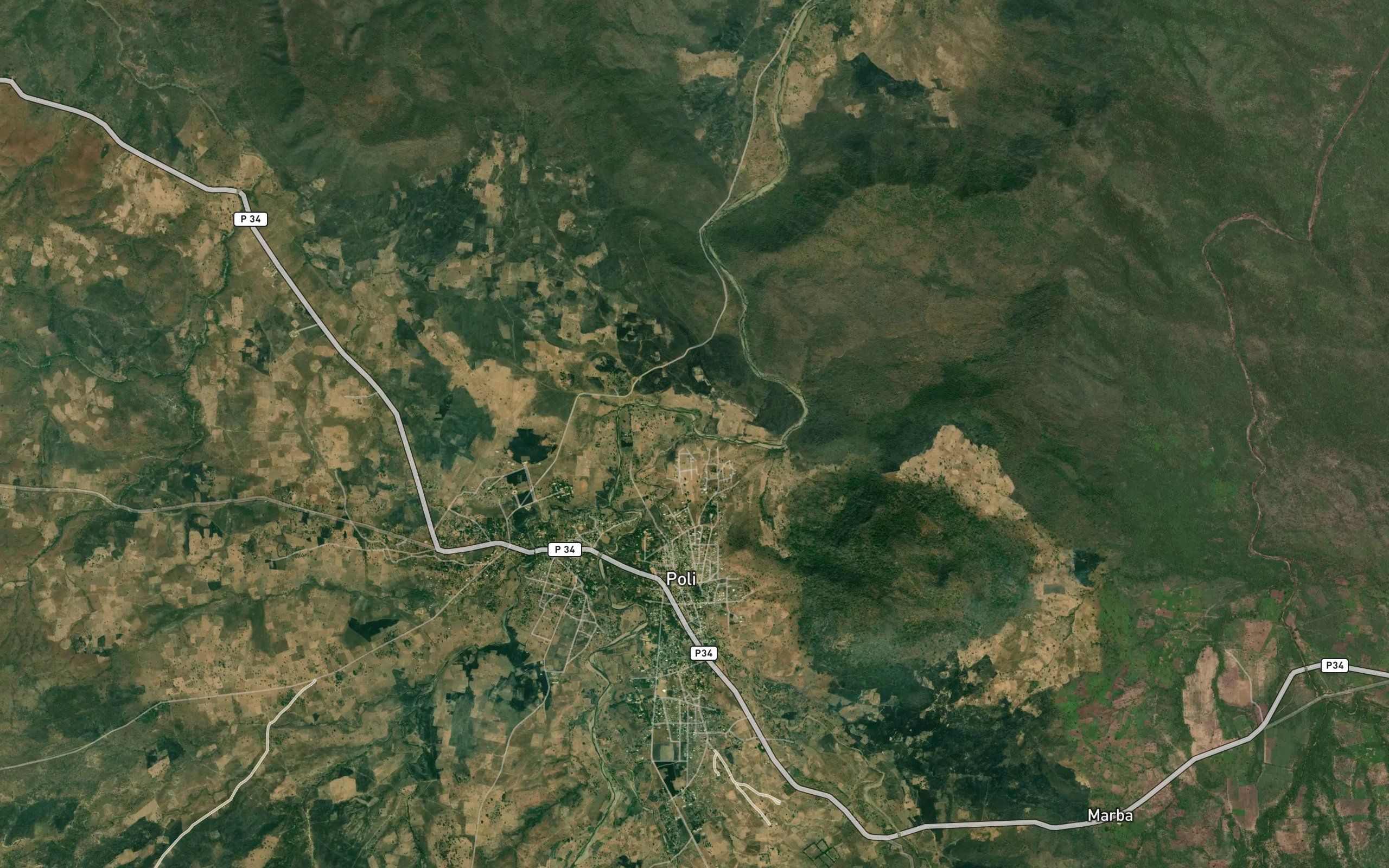 Mayo Angsang