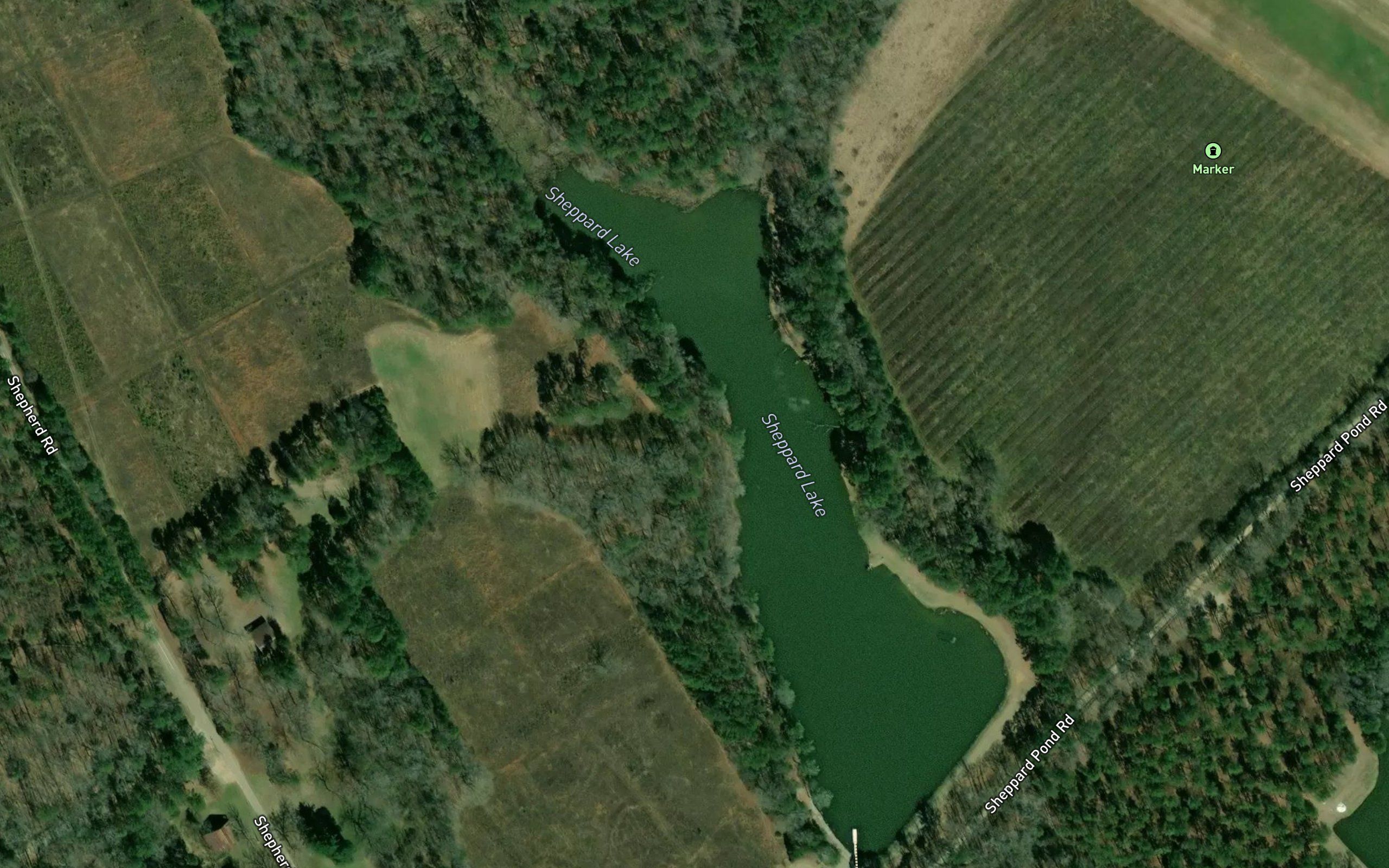 Sheppard Lake
