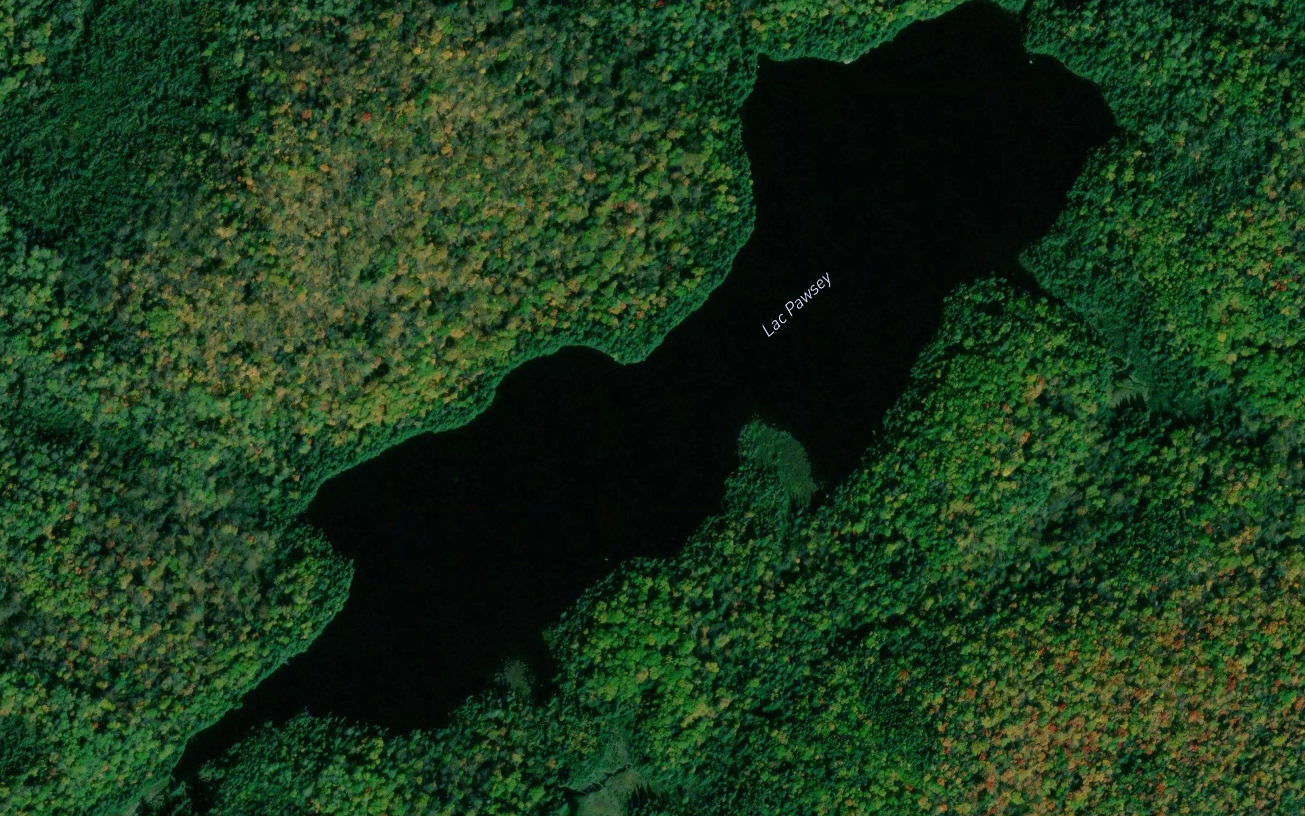 Lac Pawsey