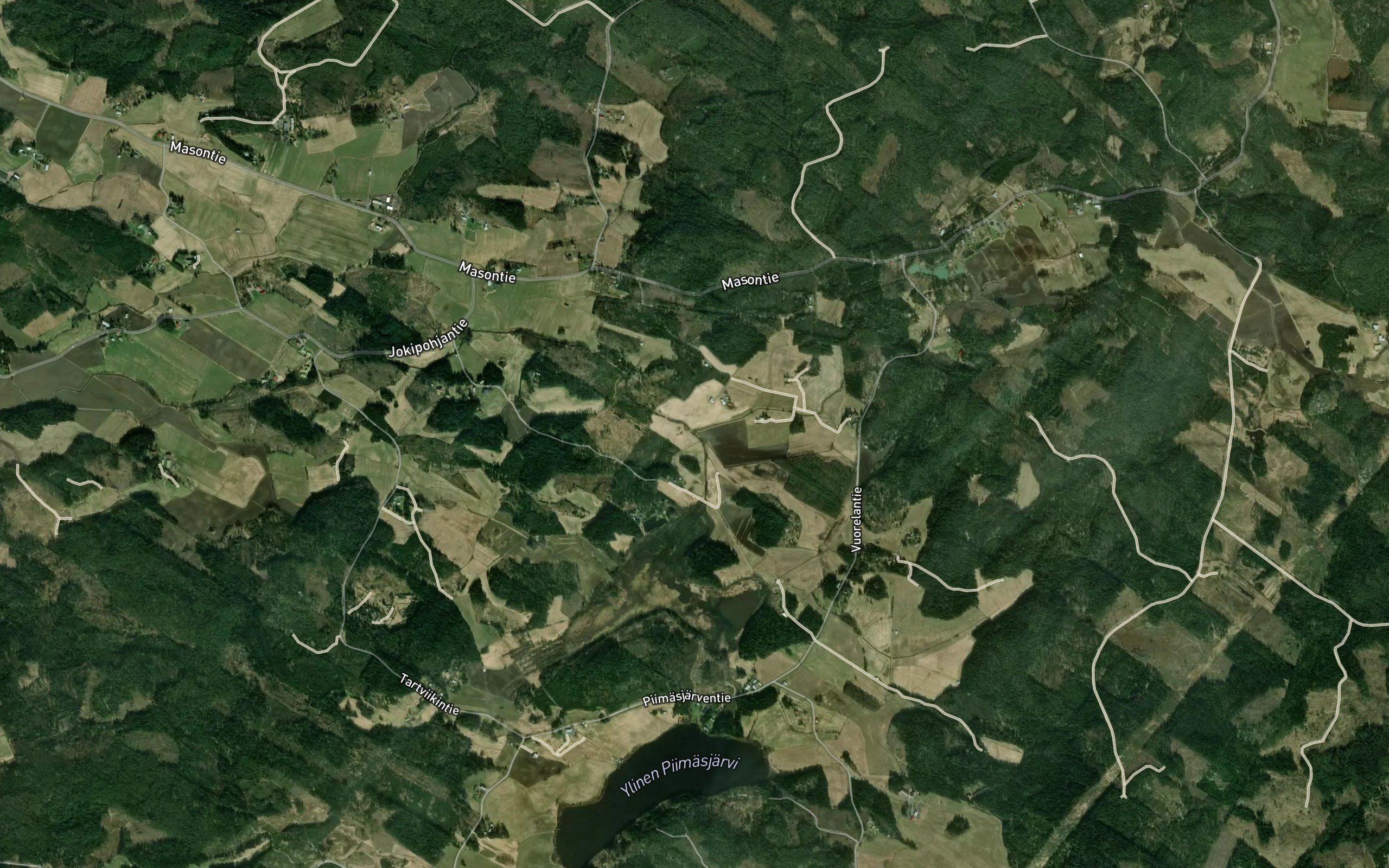 Masojoki