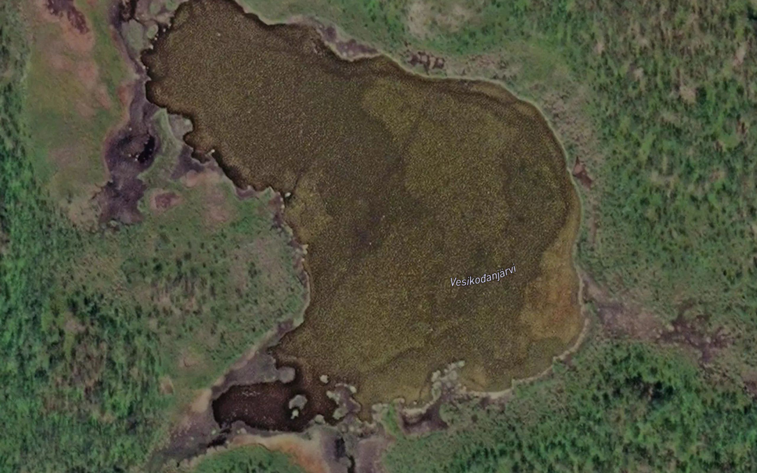 Vesikoganjaervi