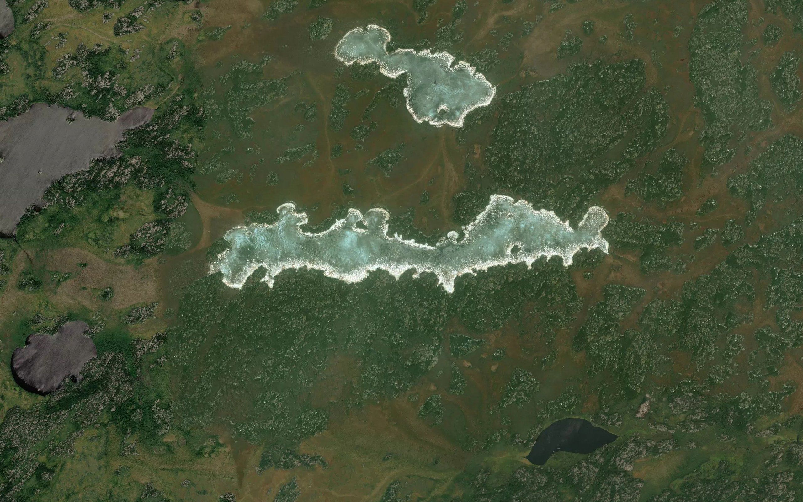 Rice Lake