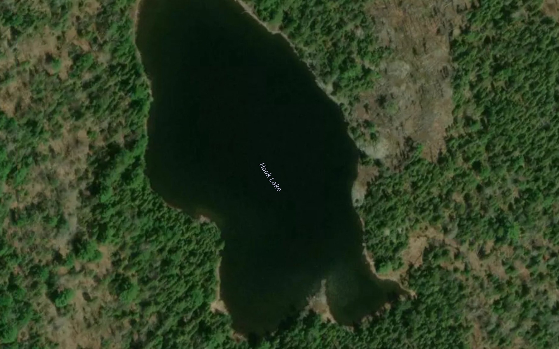 Satellite map of the Hook Lake