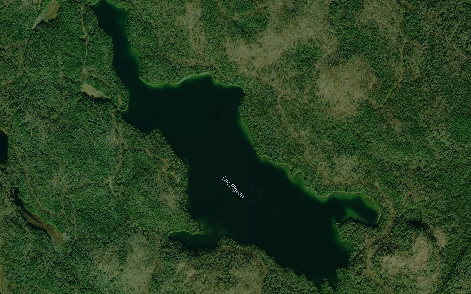 Satellite map of the Lac Pigeon