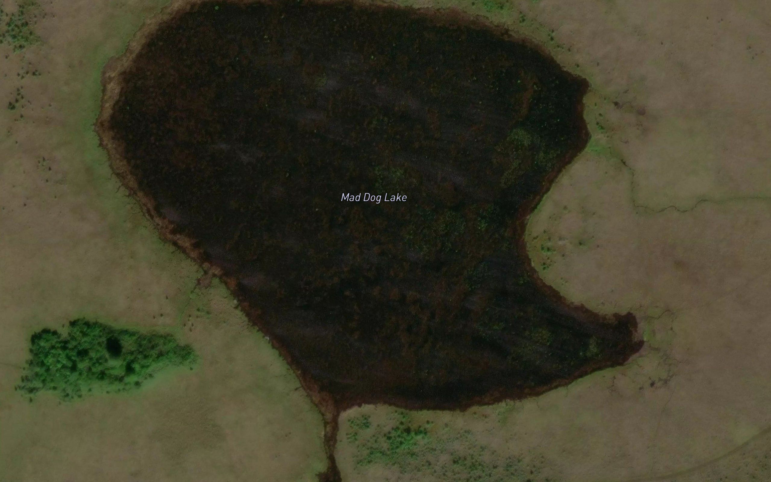 Mad Dog Lake